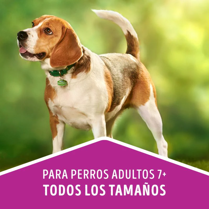 Comida Para Perro Adulto Dog Chow Longevidad + 7 - Image 3