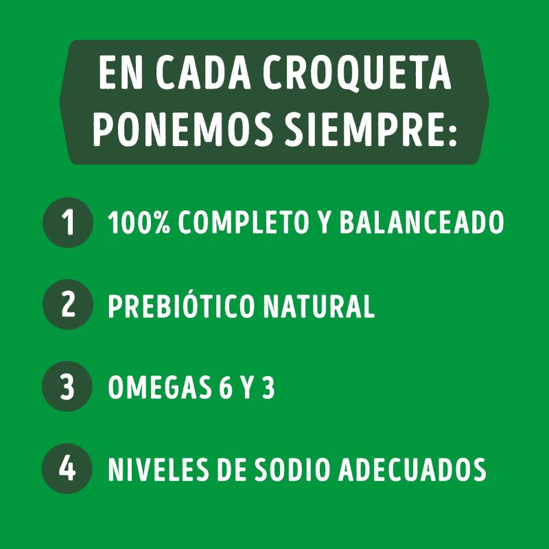 Comida Para Perro Adulto Dog Chow Longevidad + 7 - Image 5