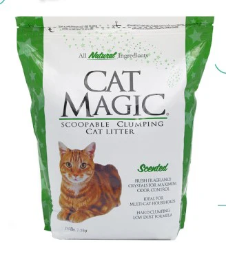 Arena Cat  Magic