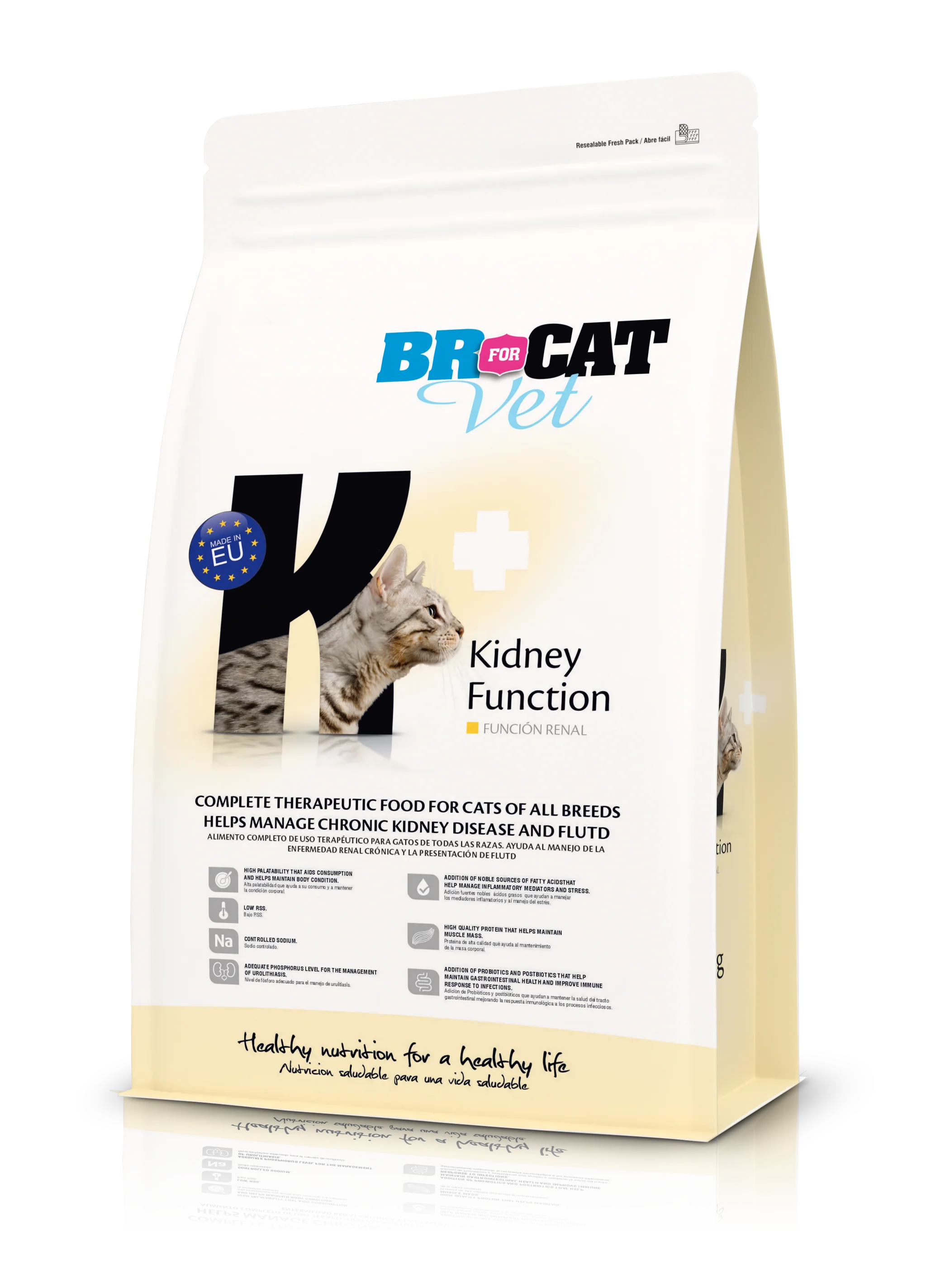 Br For Cat Vet Kidney Function