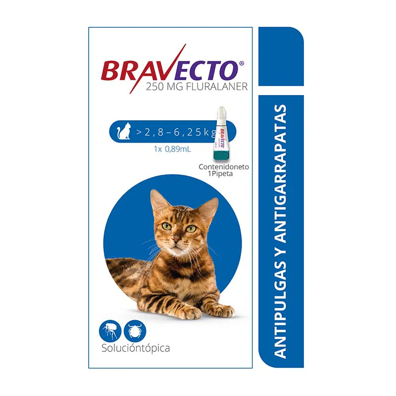Antipulgas Y Garrapatas Para Gato Bravecto(2.8 Kg - 6.2 Kg)