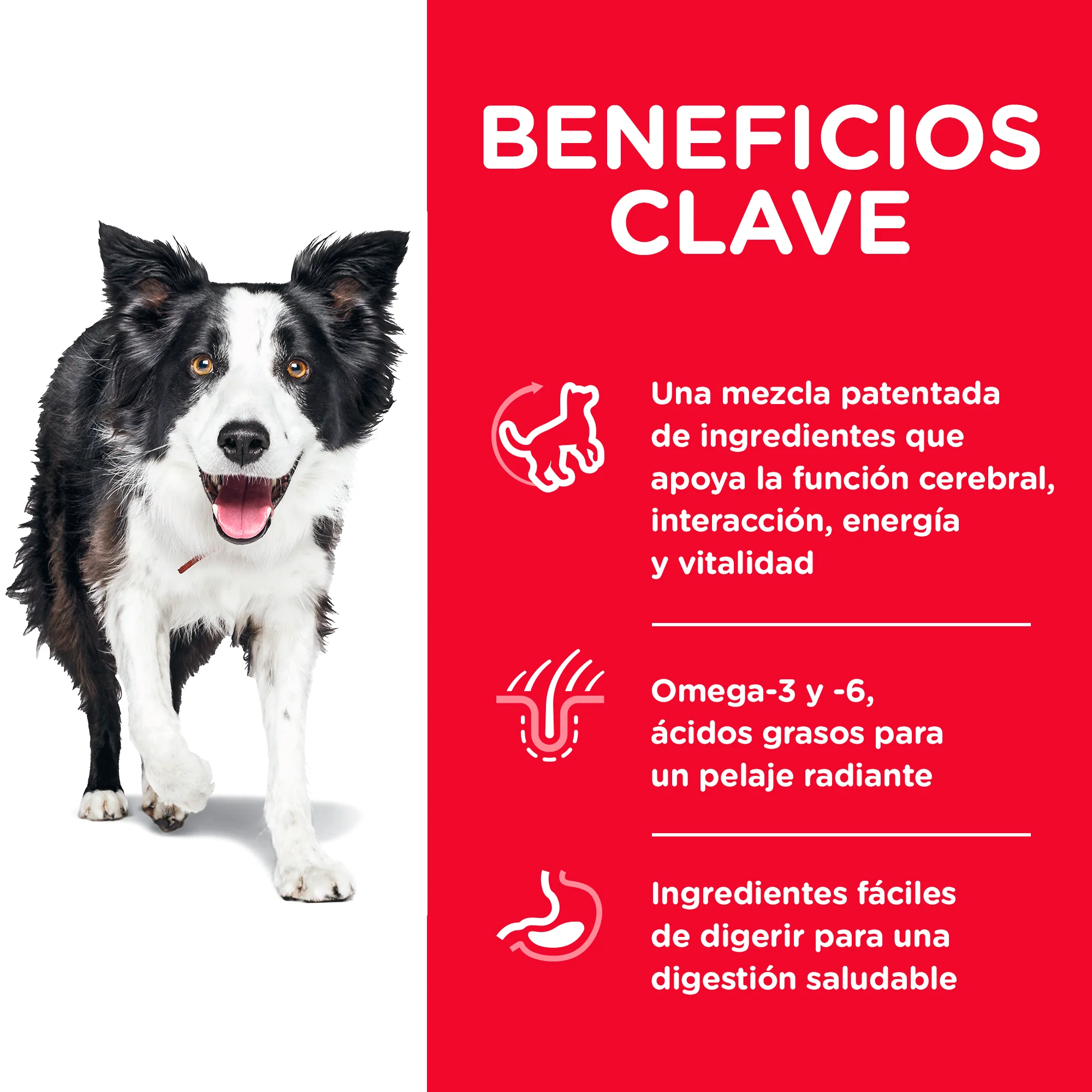 Comida para perro Hills Senior Vitality Adulto - Image 5