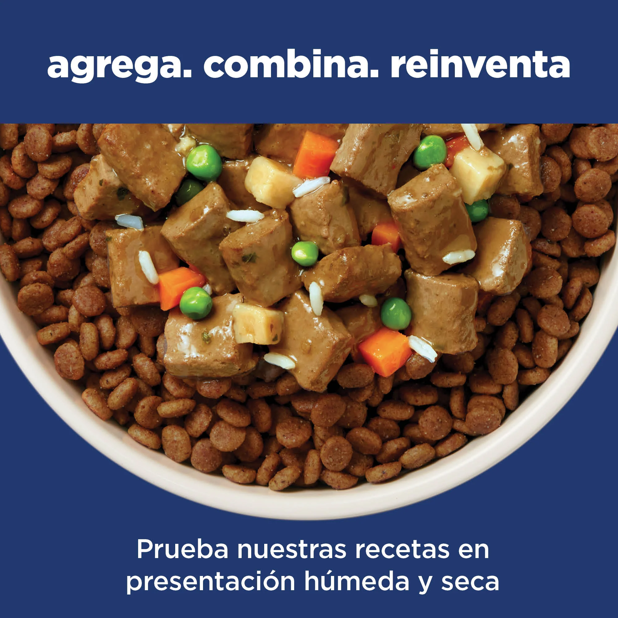 Comida perro Hills Adulto Razas Medianas Cordero - Image 11