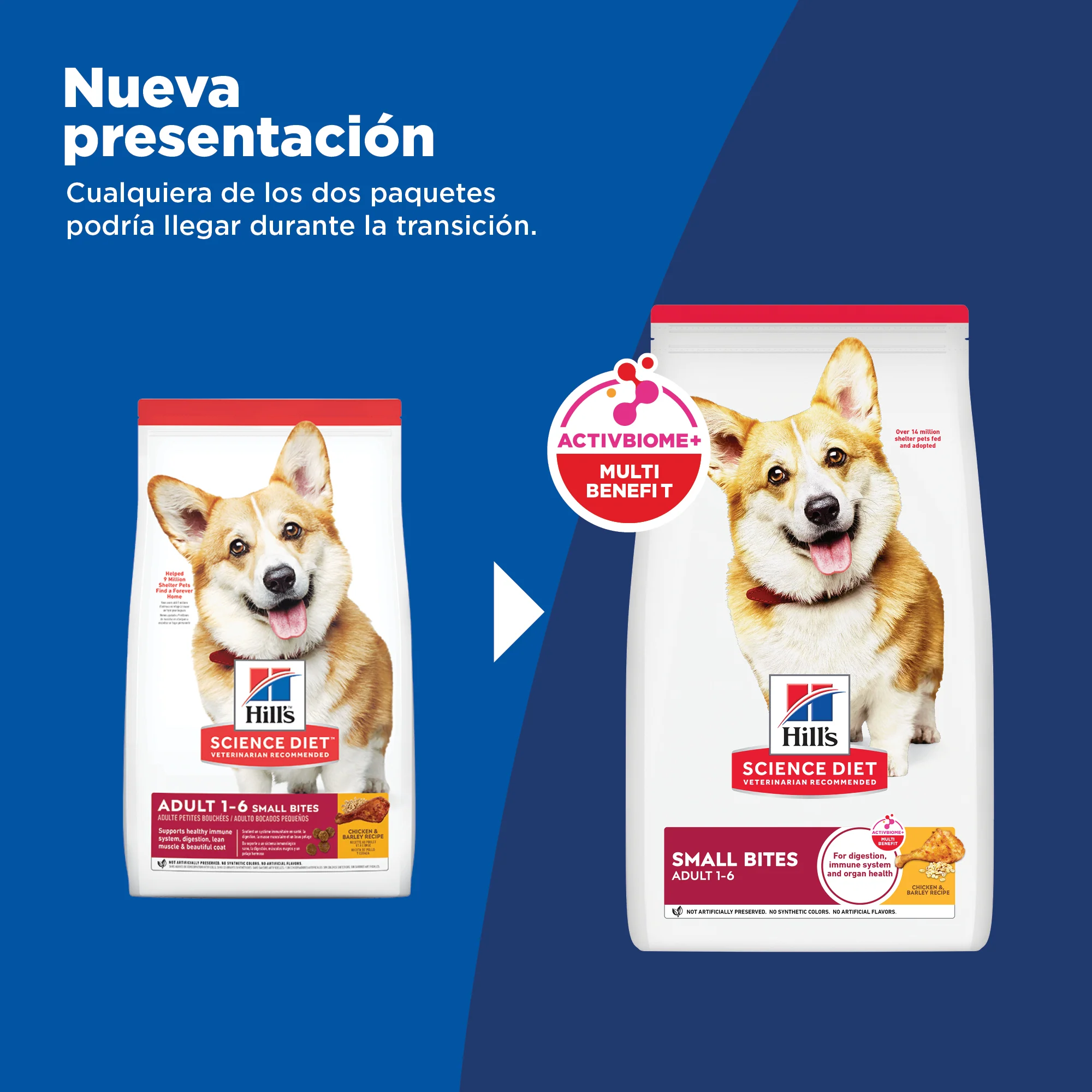 Comida perro Hills Adultos Small Bites Cordero y Arroz - Image 3