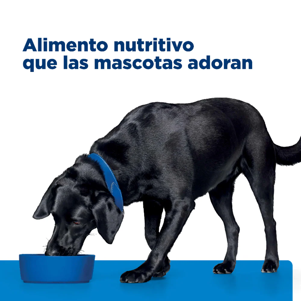 Comida para perrro Hills Alergías Alimenticias d/d Papa - Image 4