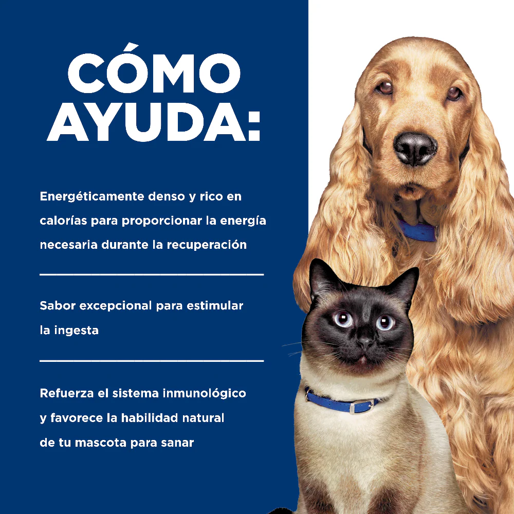 Comida Húmeda Perros y Gatos Hills Prescription Diet - Image 4