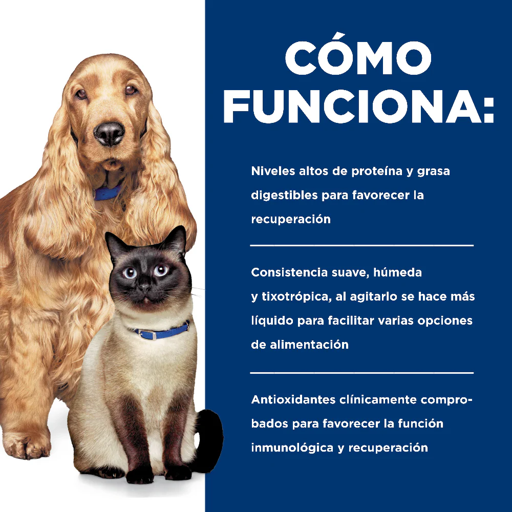 Comida Húmeda Perros y Gatos Hills Prescription Diet - Image 5