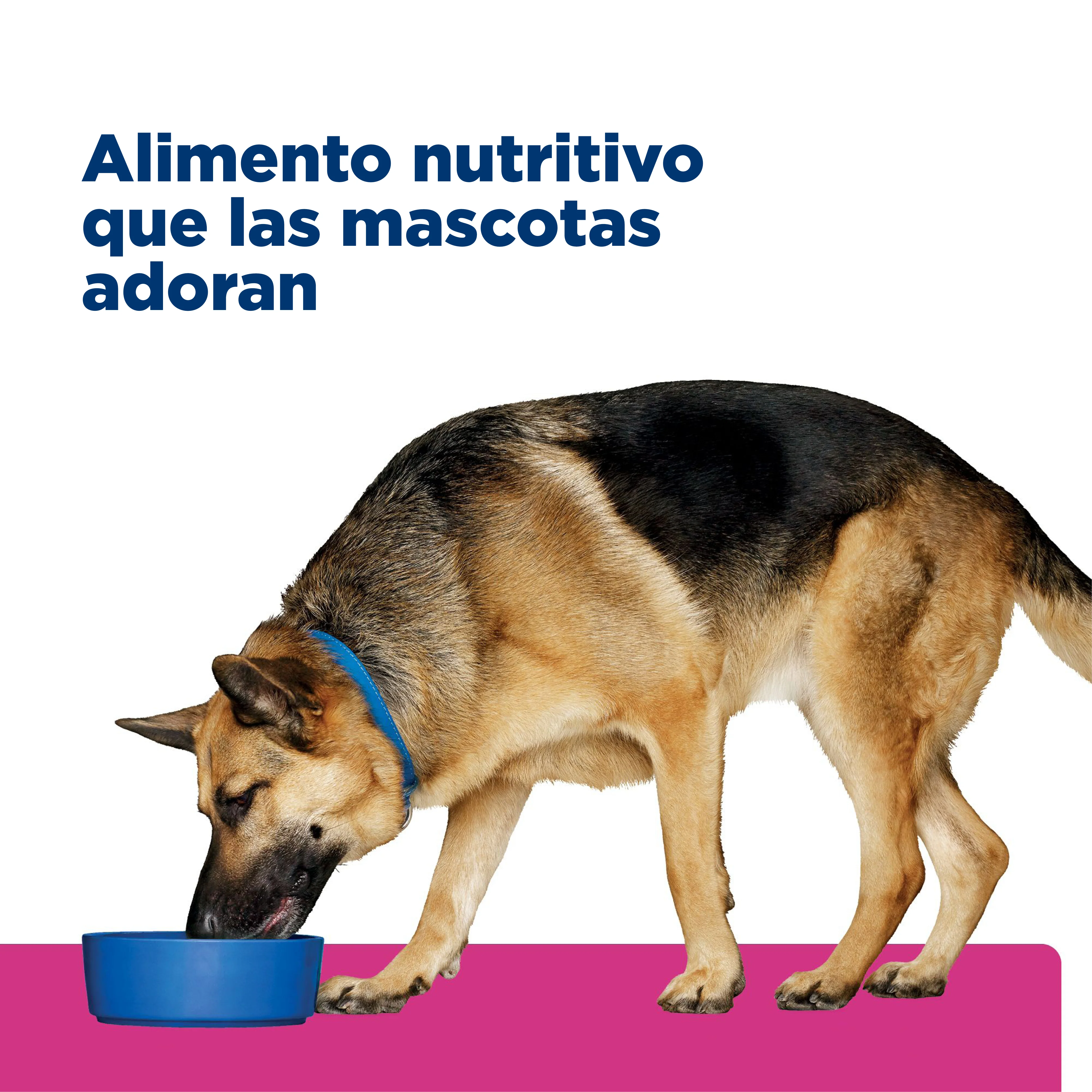 Comida para Perro Hills Gastro Biome 8Lb a 16Lb - Image 4