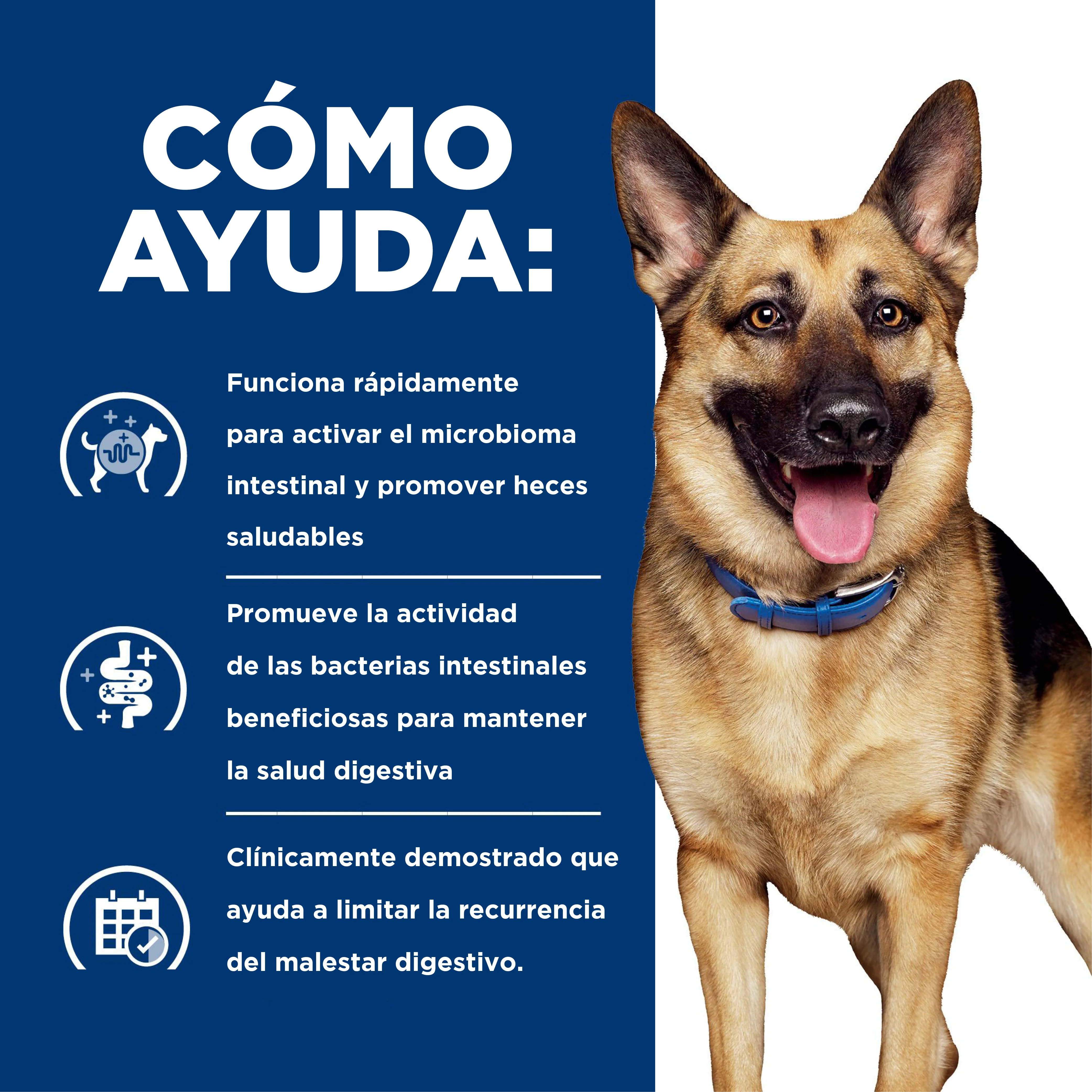 Comida para Perro Hills Gastro Biome 8Lb a 16Lb - Image 8