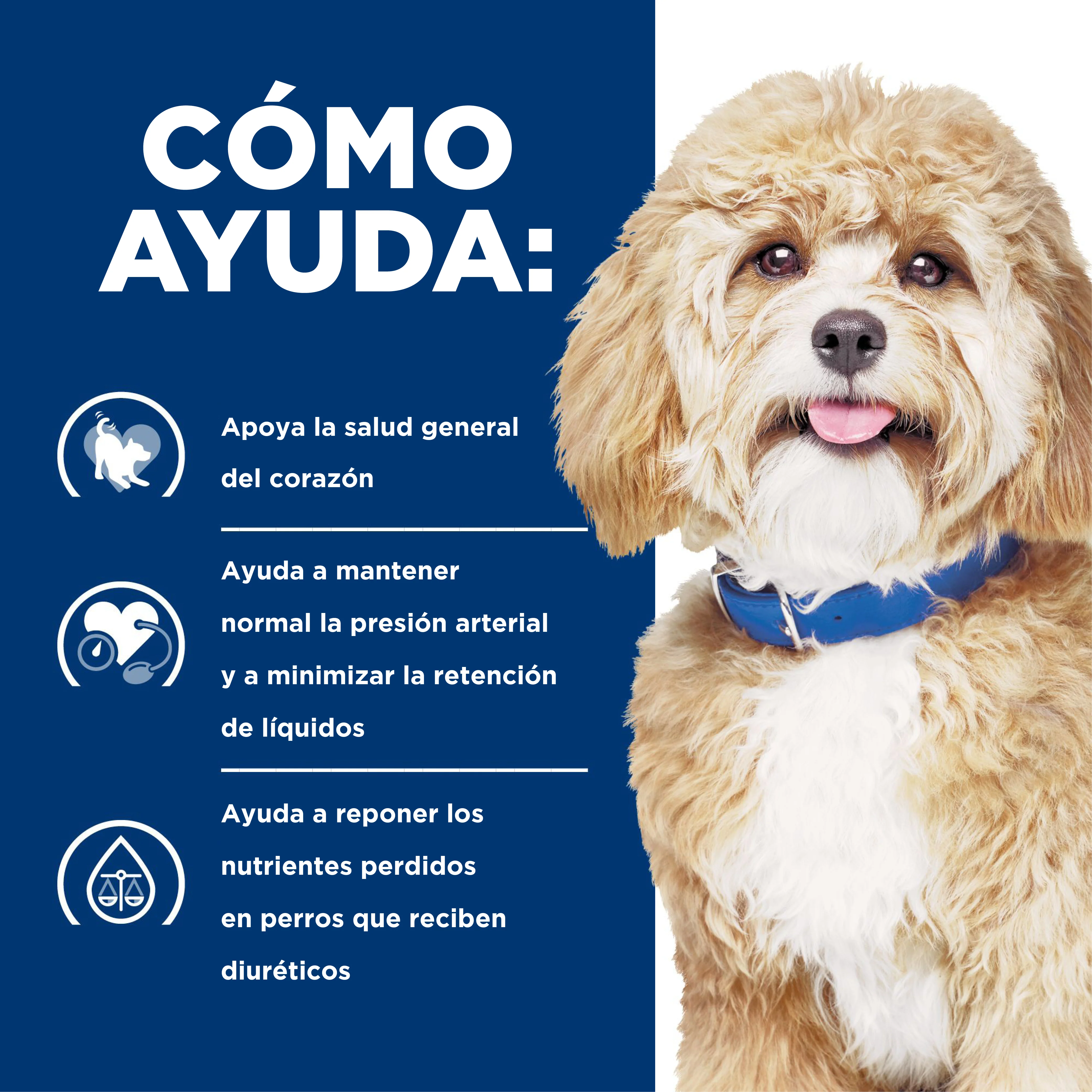 Comida para perro Hilss Prescription Heart Care h/d - Image 6