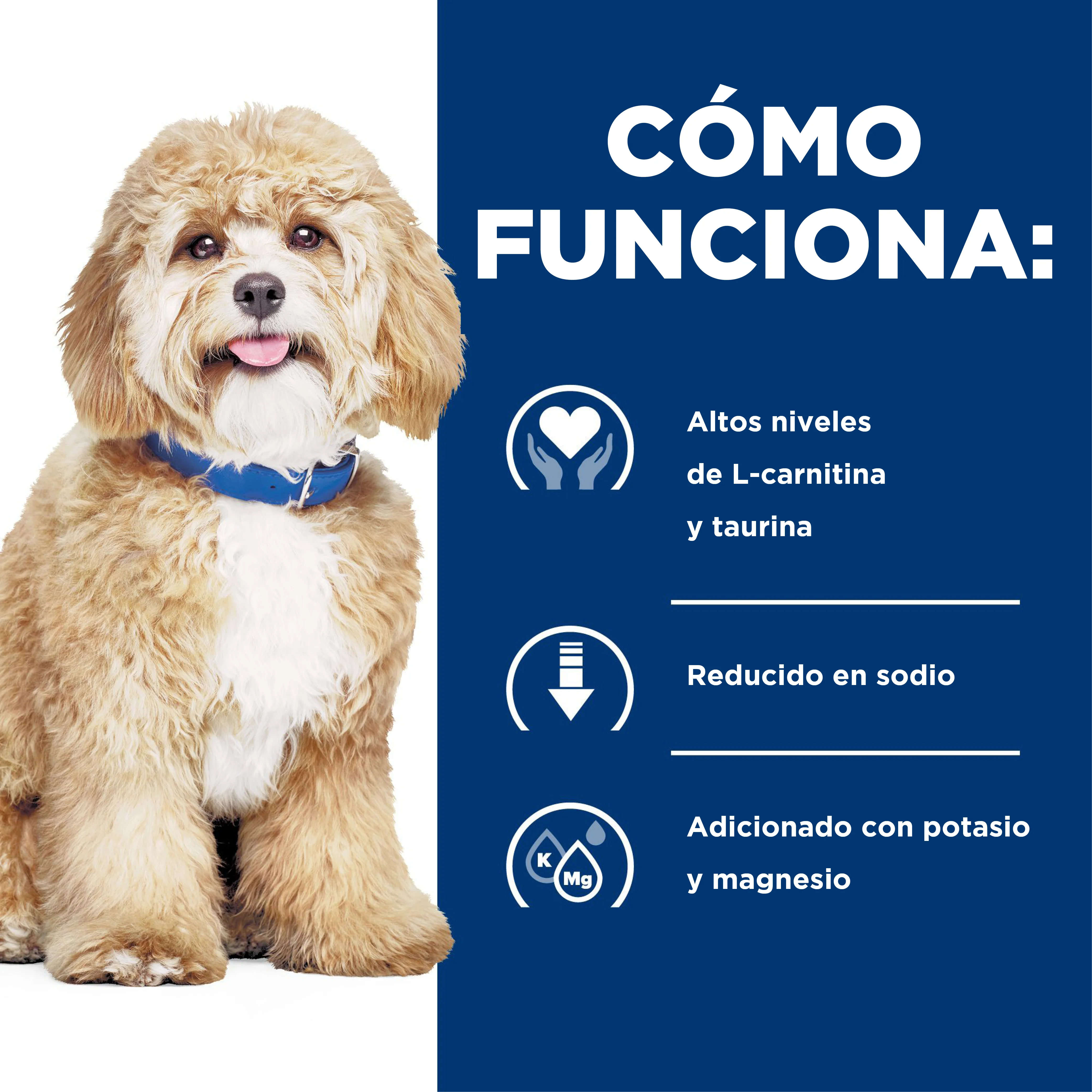 Comida para perro Hilss Prescription Heart Care h/d - Image 7