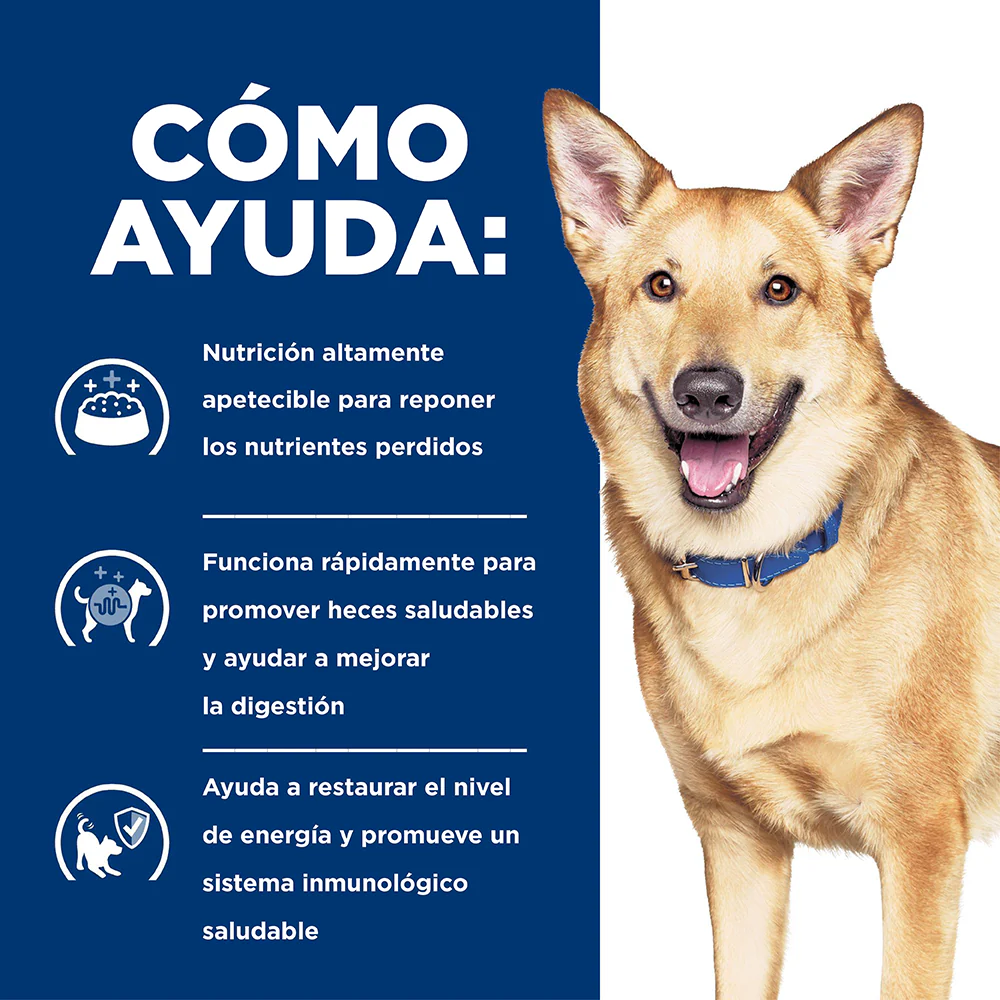 Comida para Perro Hills Digestive Care i/d - Image 4