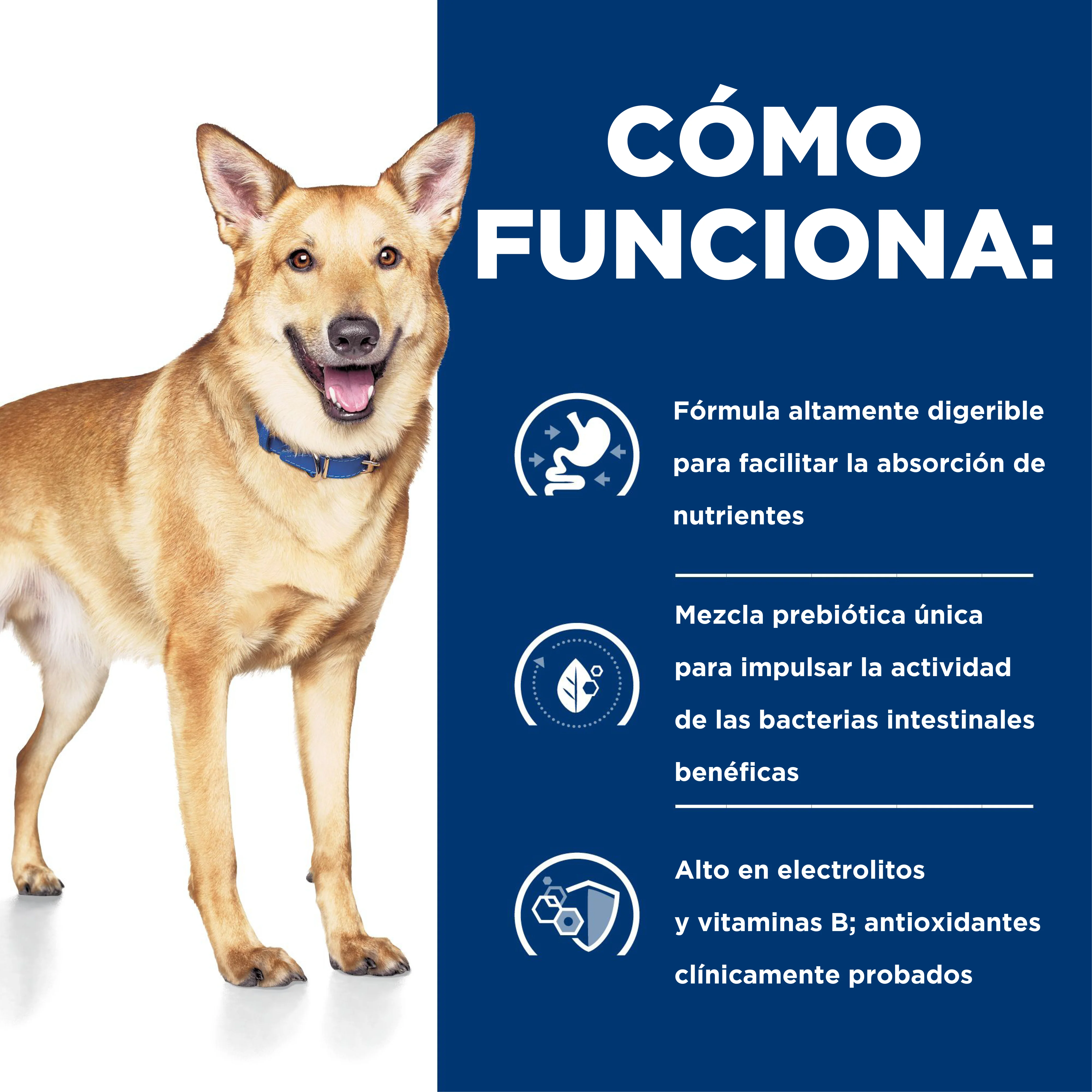 Comida Húmeda Perros Hills Prescription Digestive Care - Image 6