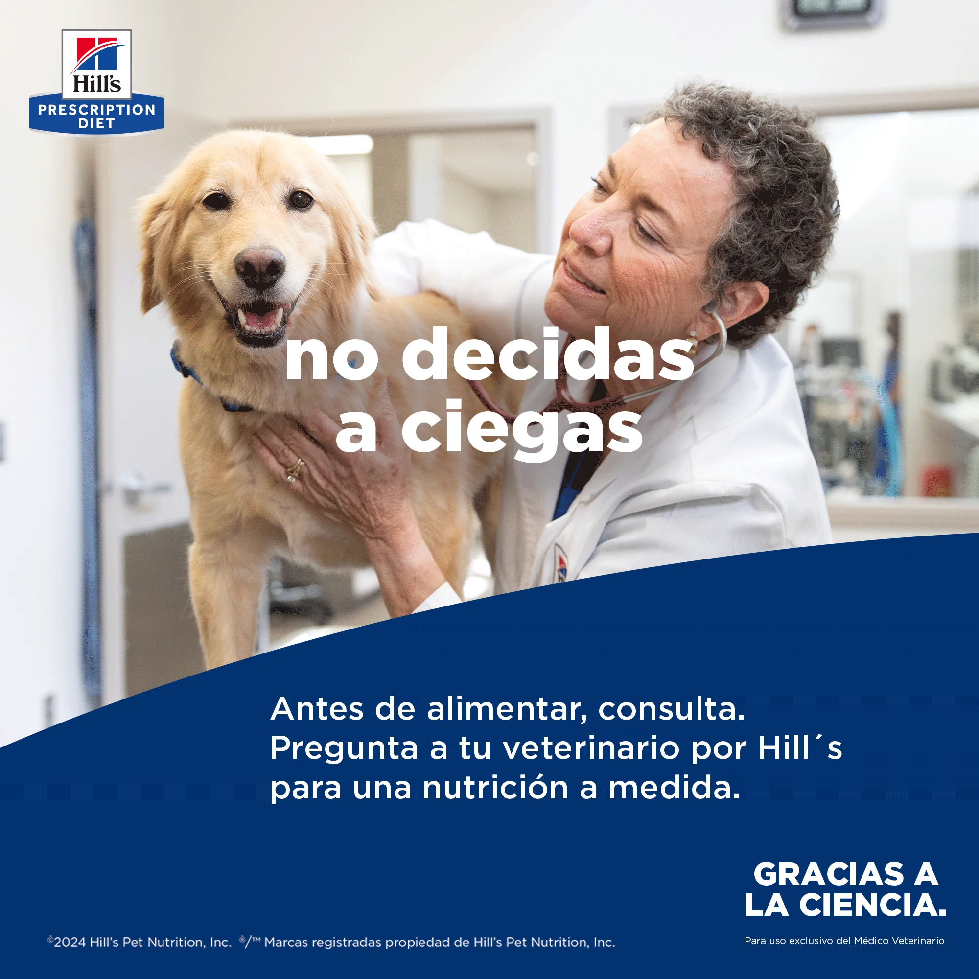Comida Húmeda perro Hills Prescription Diet - Image 4