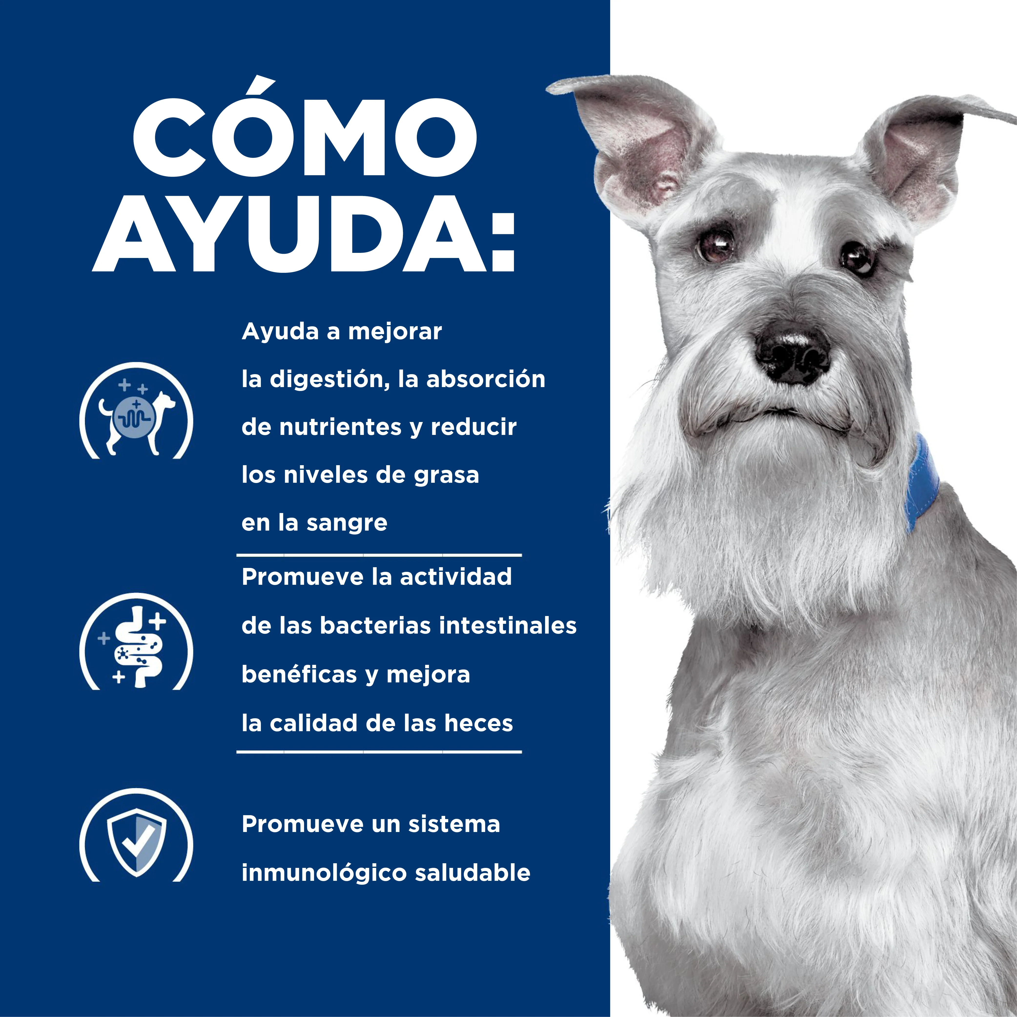 Comida para Perro Hills Low Fat i/d 8,5 Lbs - Image 4