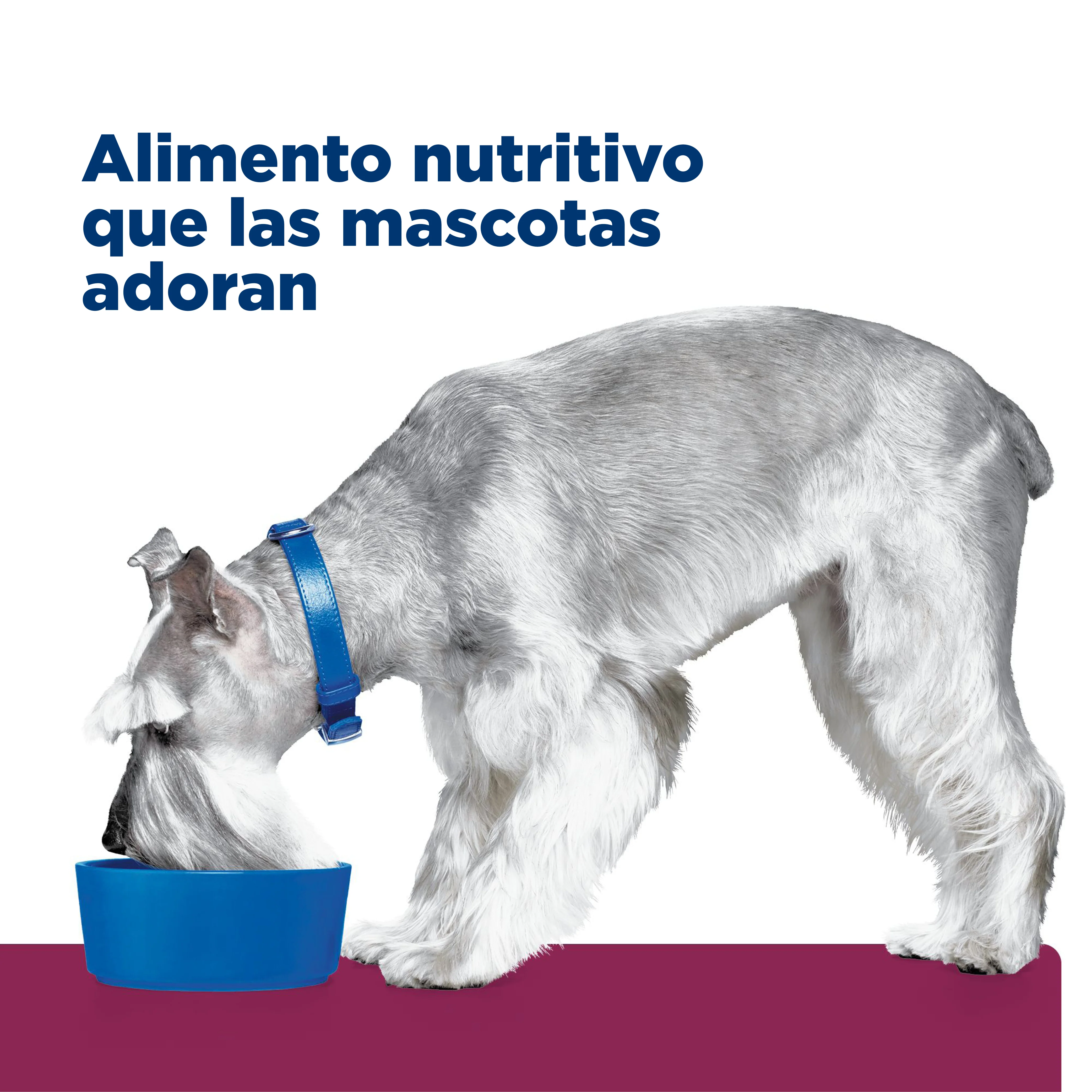 Comida para Perro Hills Low Fat i/d 8,5 Lbs - Image 6