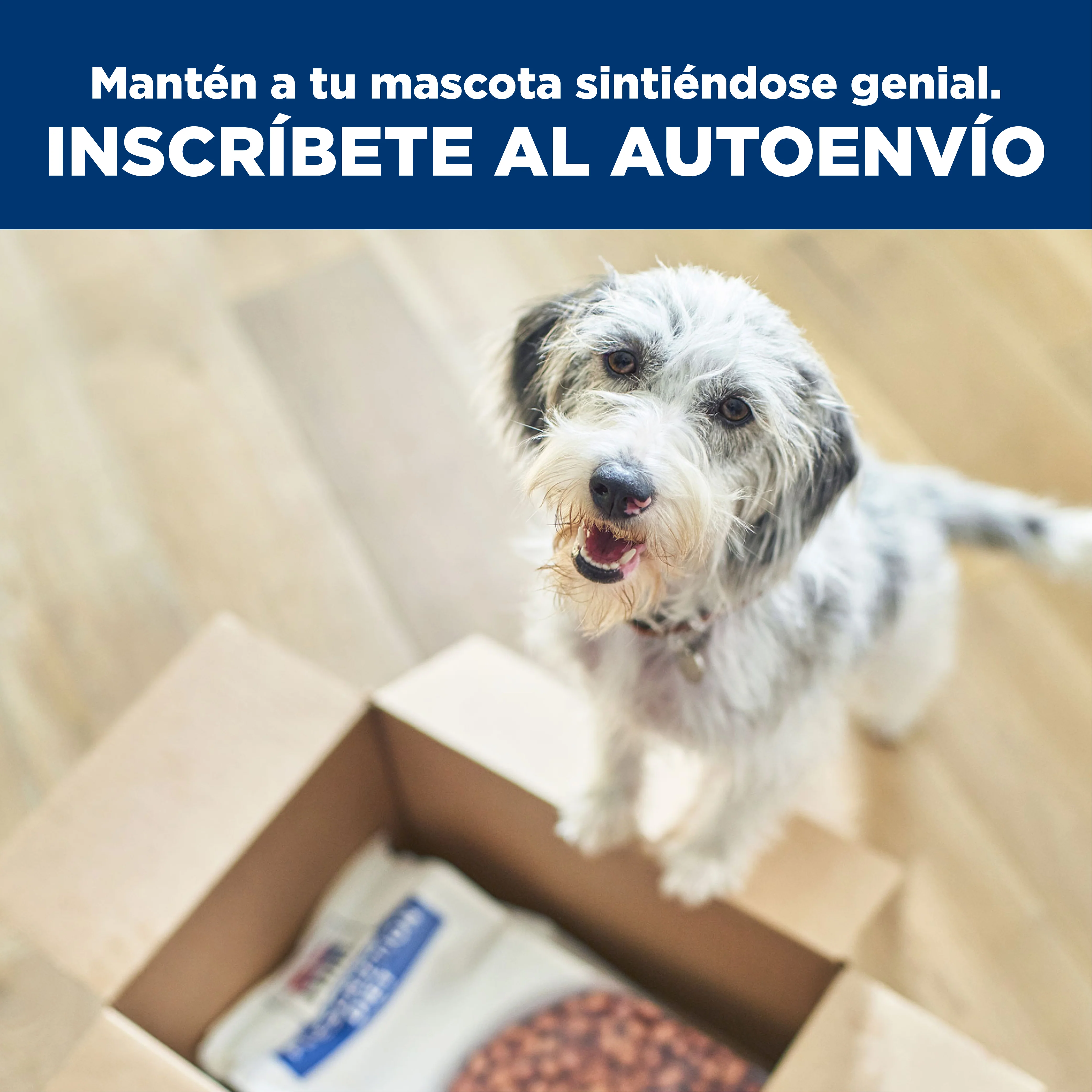 Comida Perros Hills Digestive Care i/d Raza Pequeña - Image 14