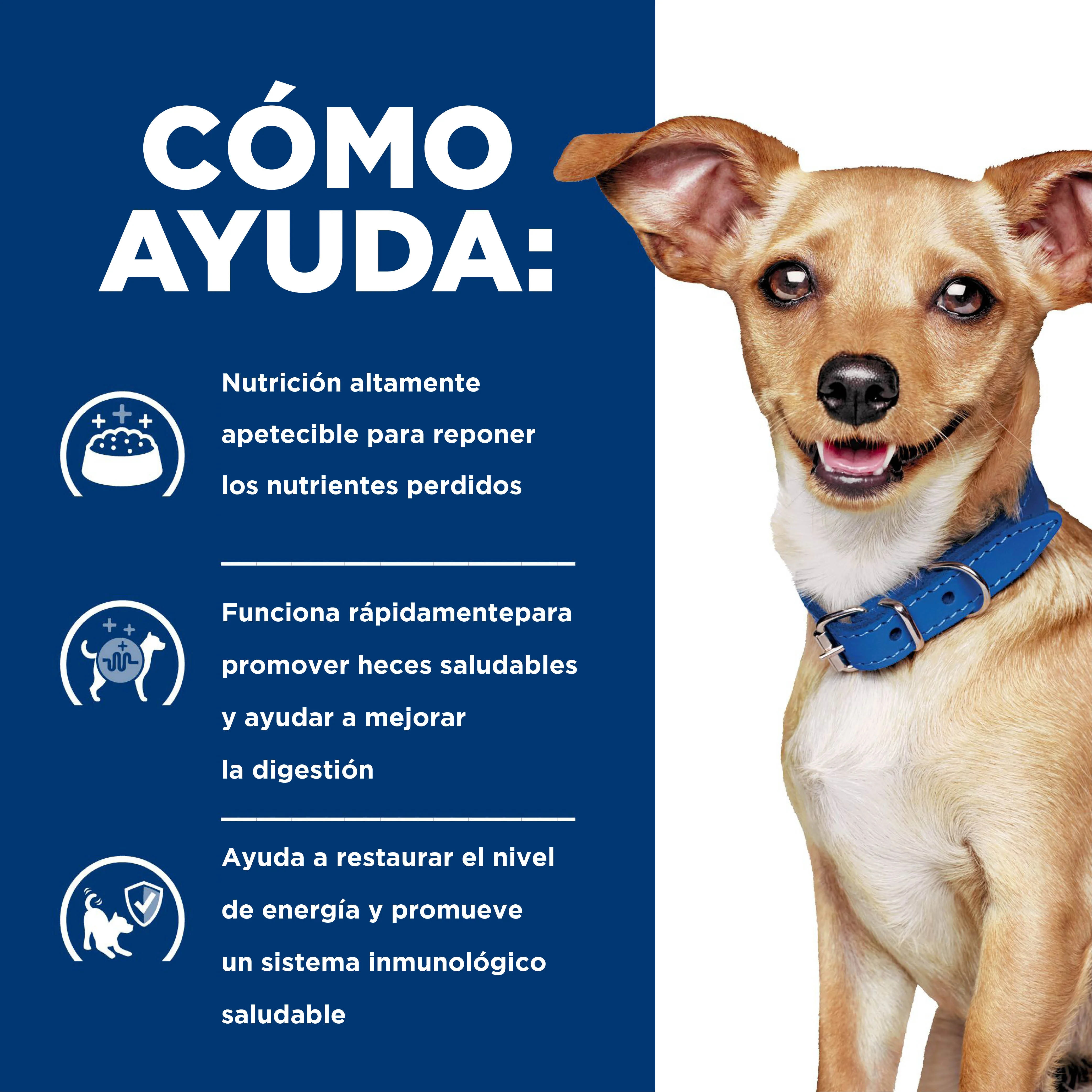 Comida Perros Hills Digestive Care i/d Raza Pequeña - Image 2