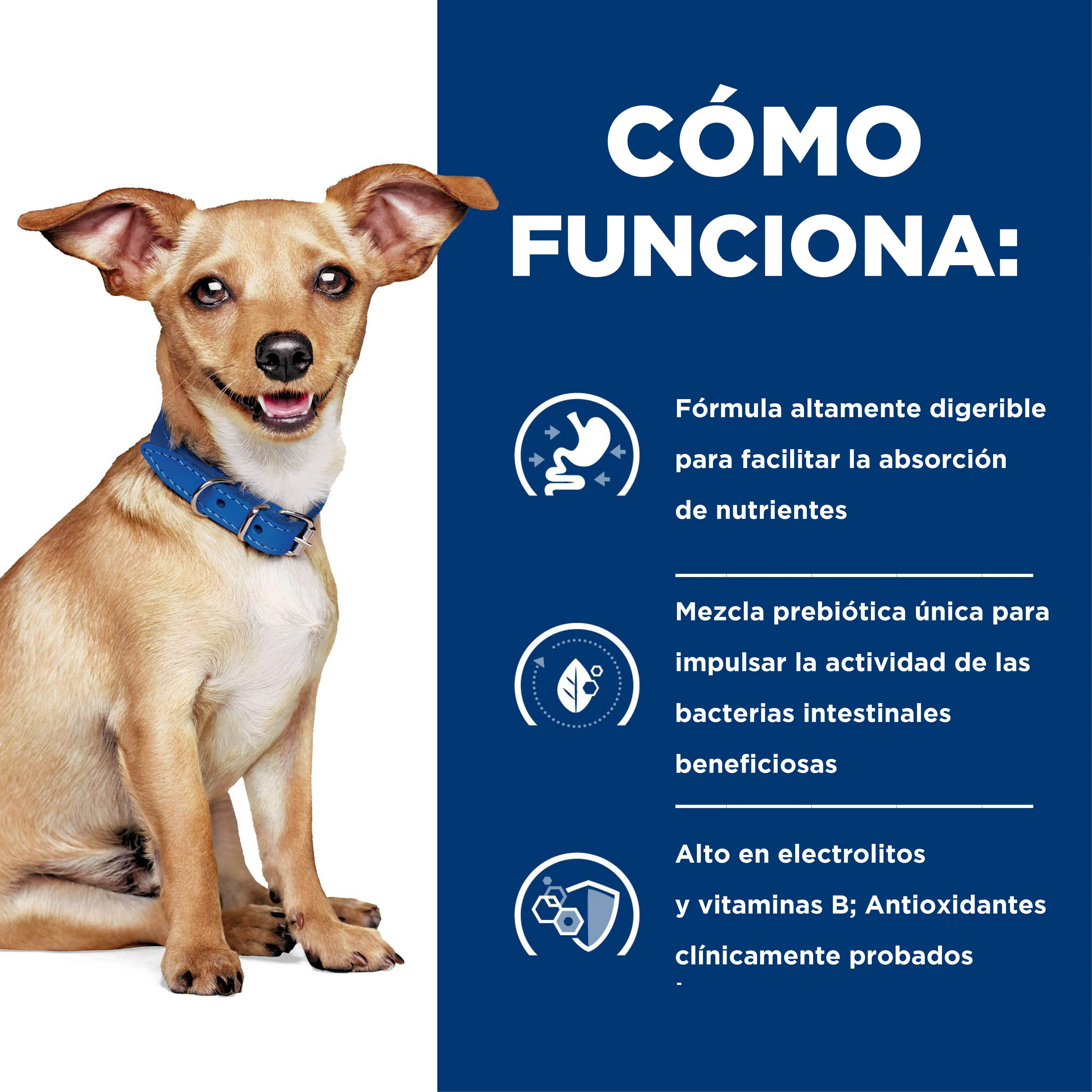 Comida Perros Hills Digestive Care i/d Raza Pequeña - Image 3
