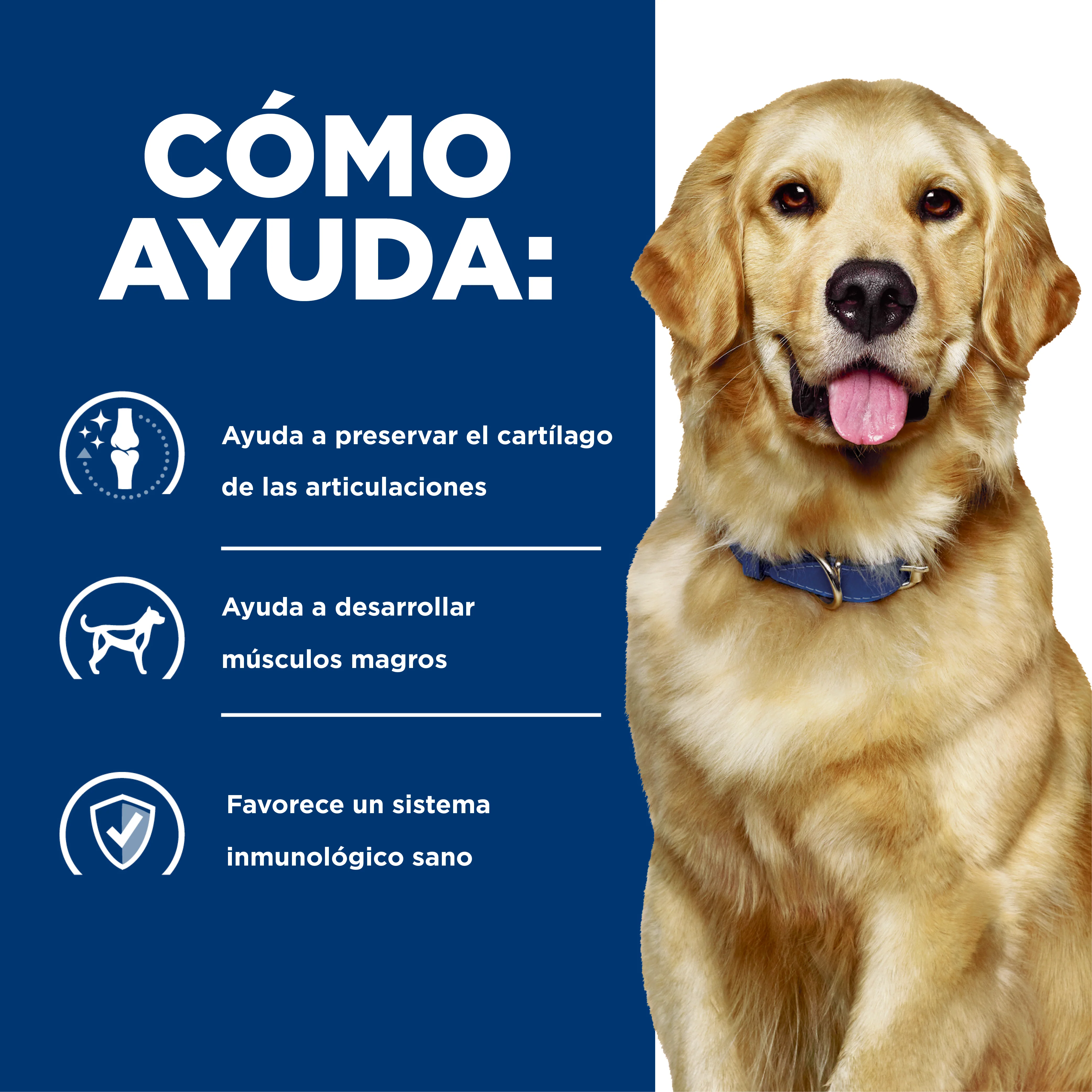 Comida para perro Hills Prescription Mobility j/d - Image 5