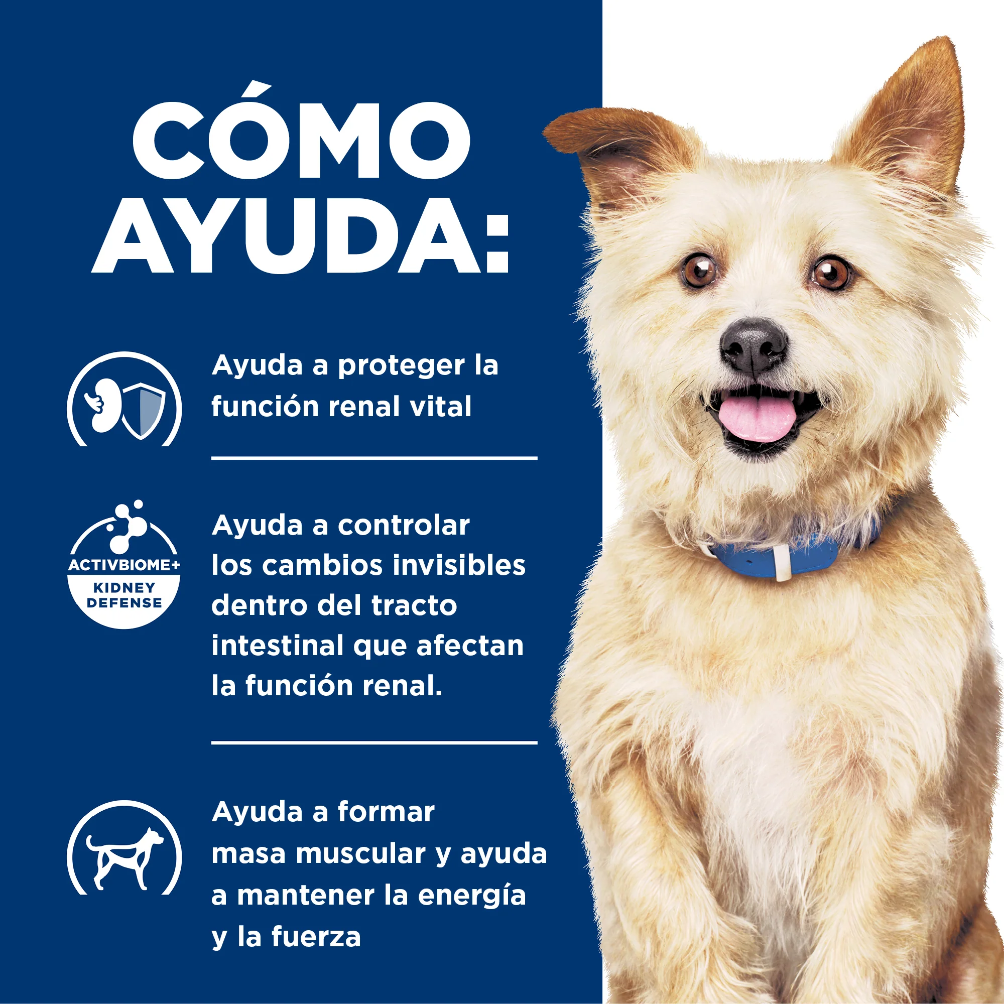 Comida Húmeda para Perro Hills Prescription Cuidado - Image 5