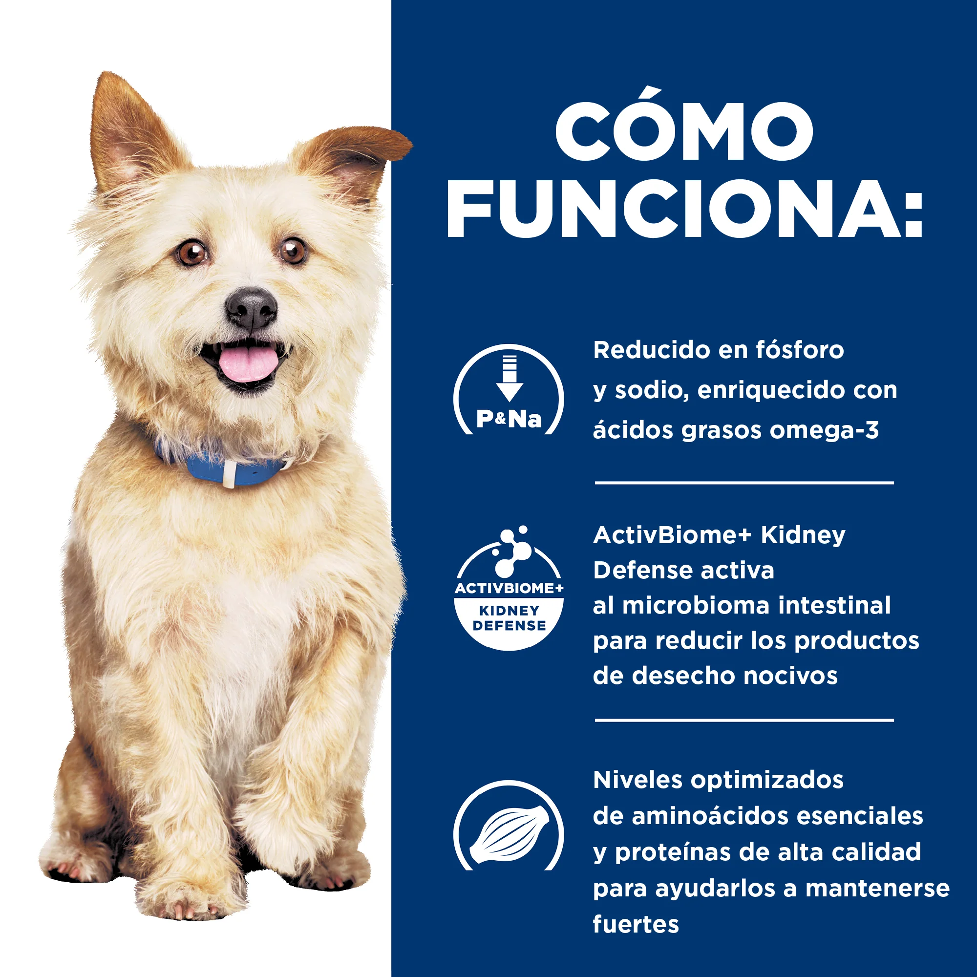 Comida Húmeda para Perro Hills Prescription Cuidado - Image 6