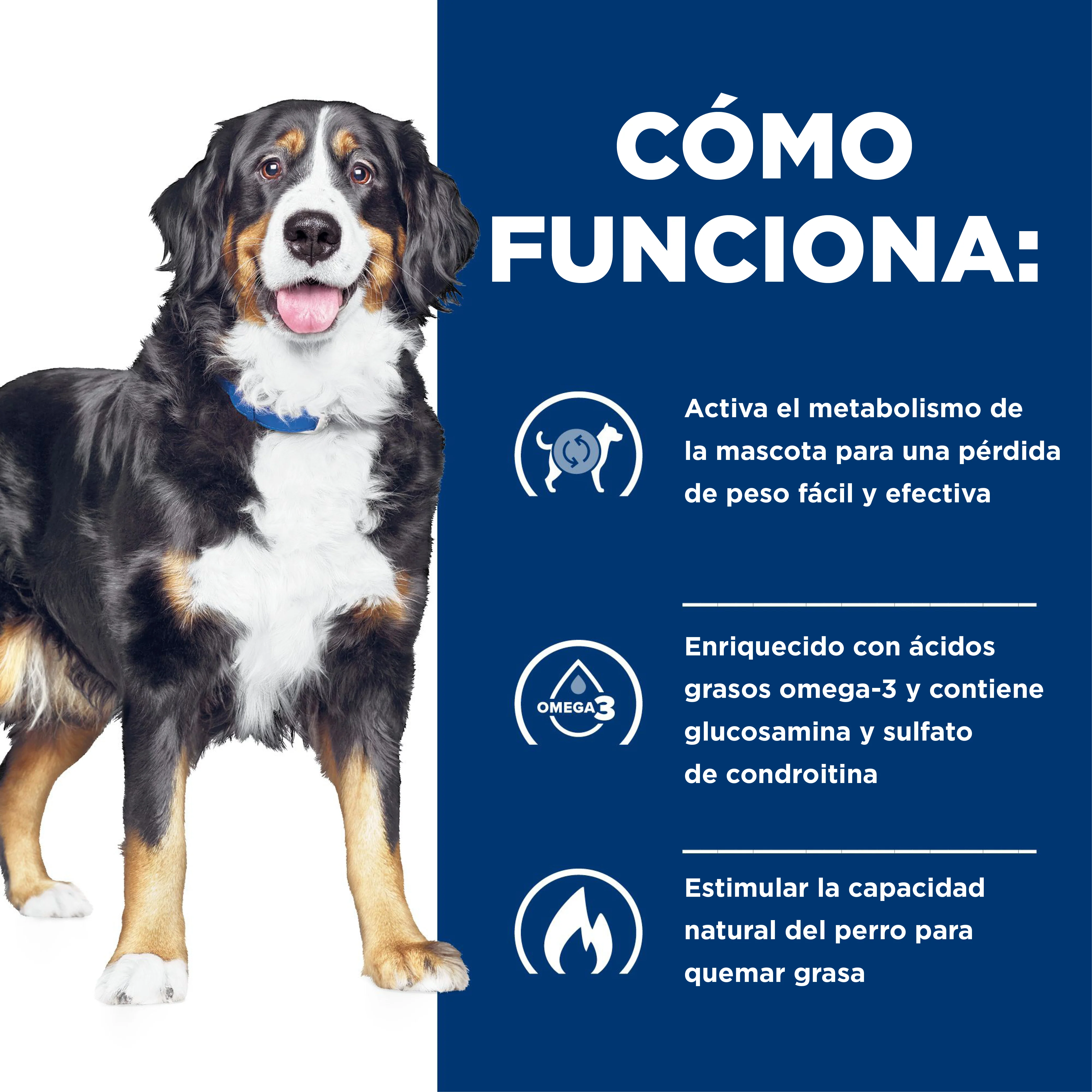 Comida para perro Hills Metabolic y Mobility - Image 5