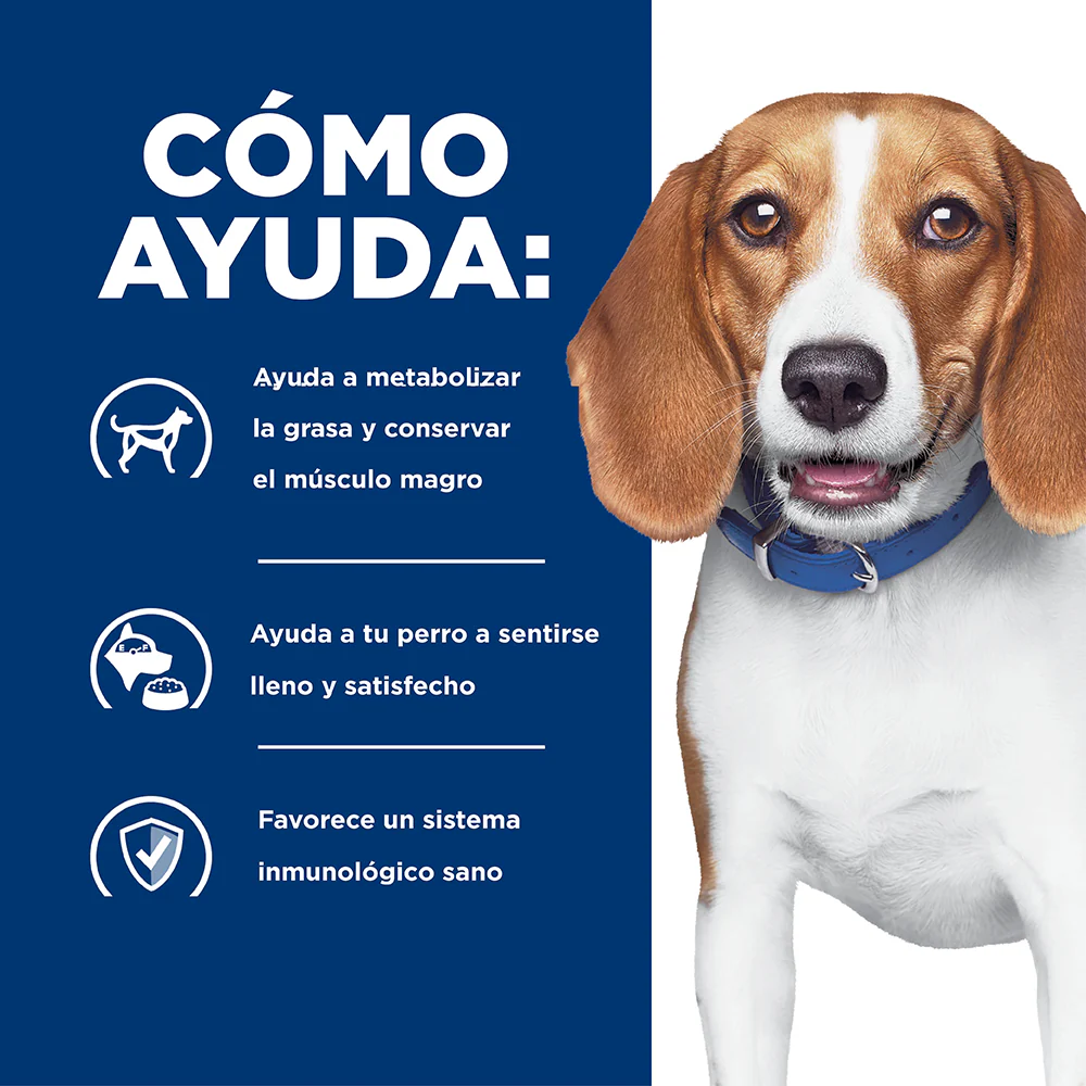 Comida para perro Hills Reducción de peso r/d - Image 4