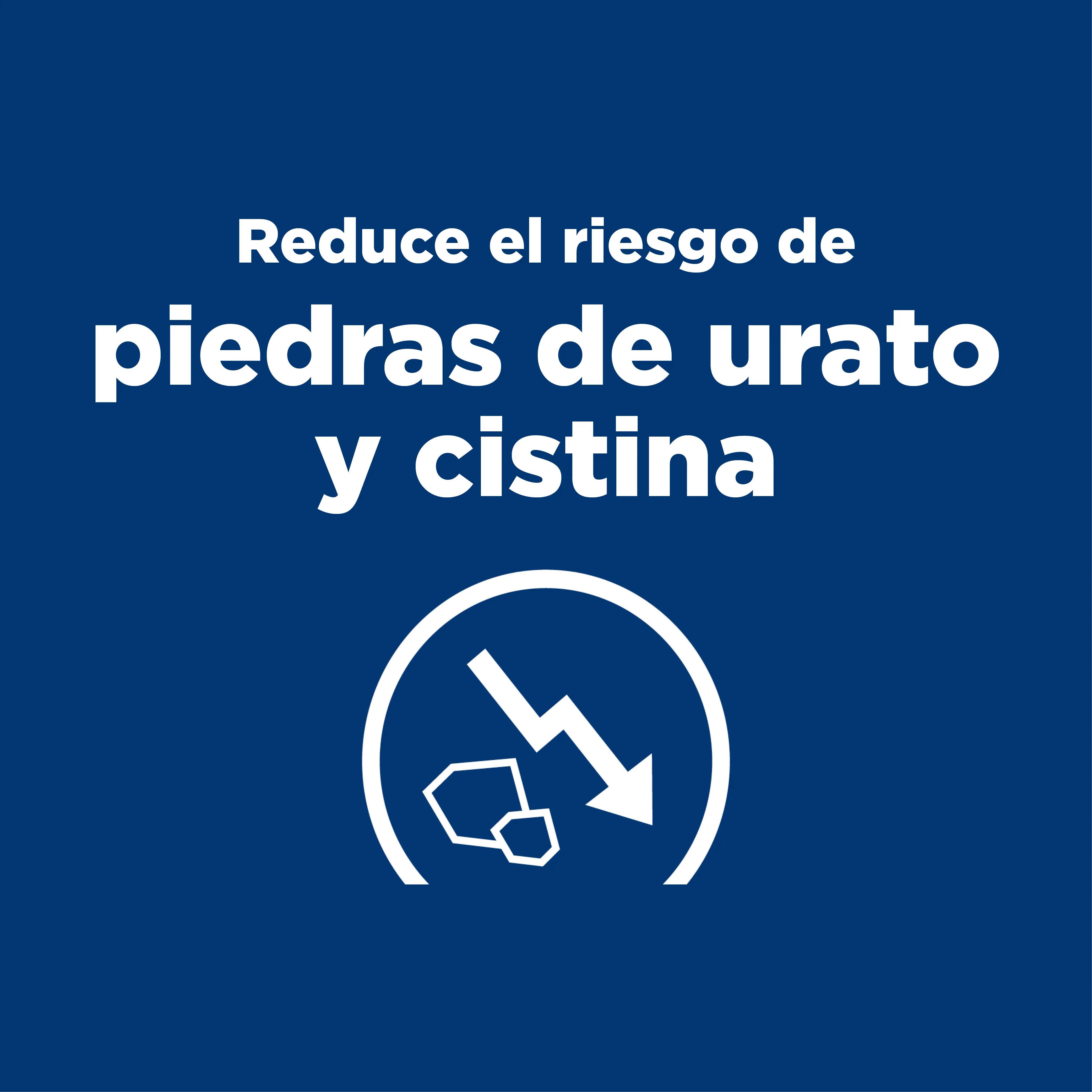 Comida perro Hills Prescription Urinary Care - Image 5