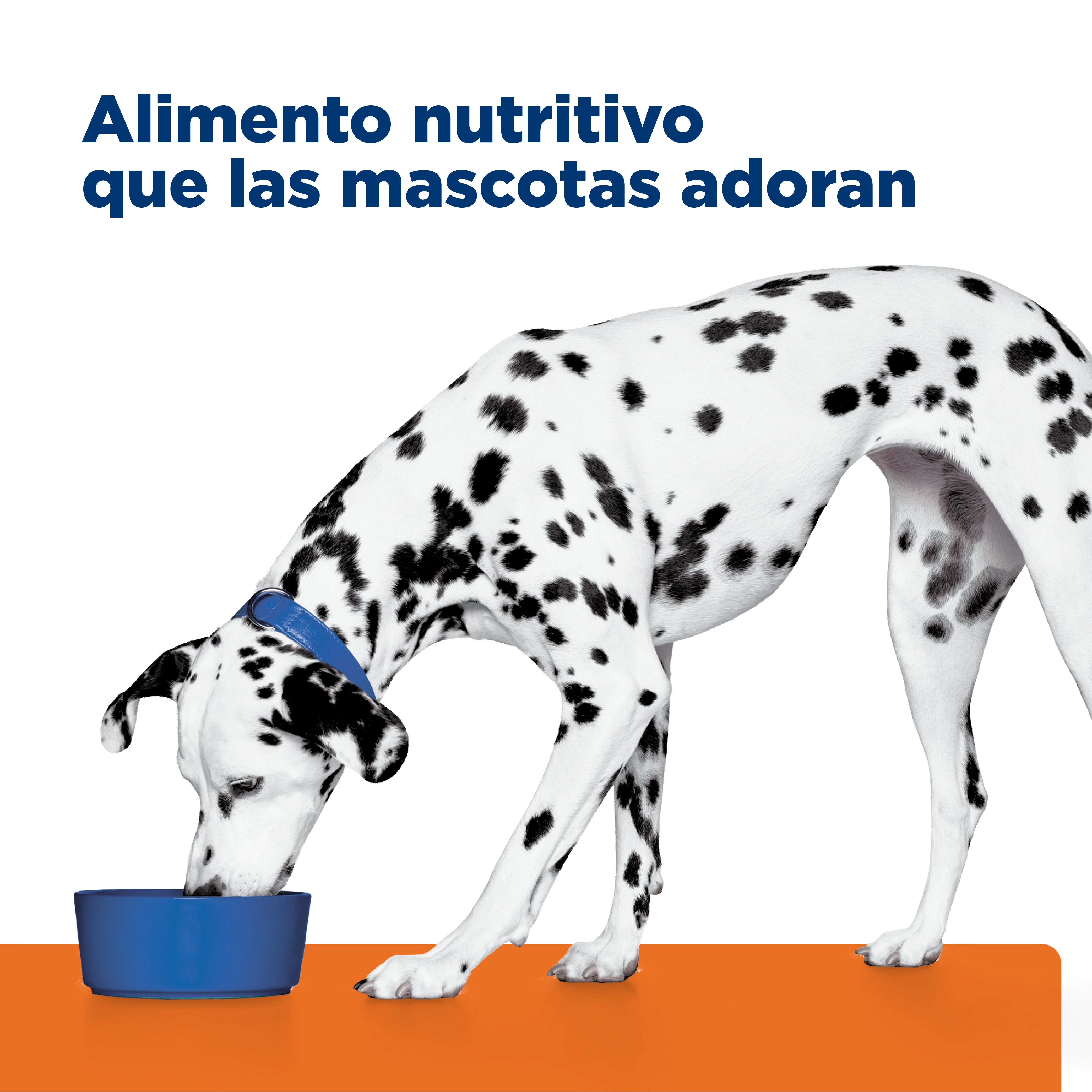 Comida Húmeda Perros Hills u/d Urinary Care 13 onz - Image 6