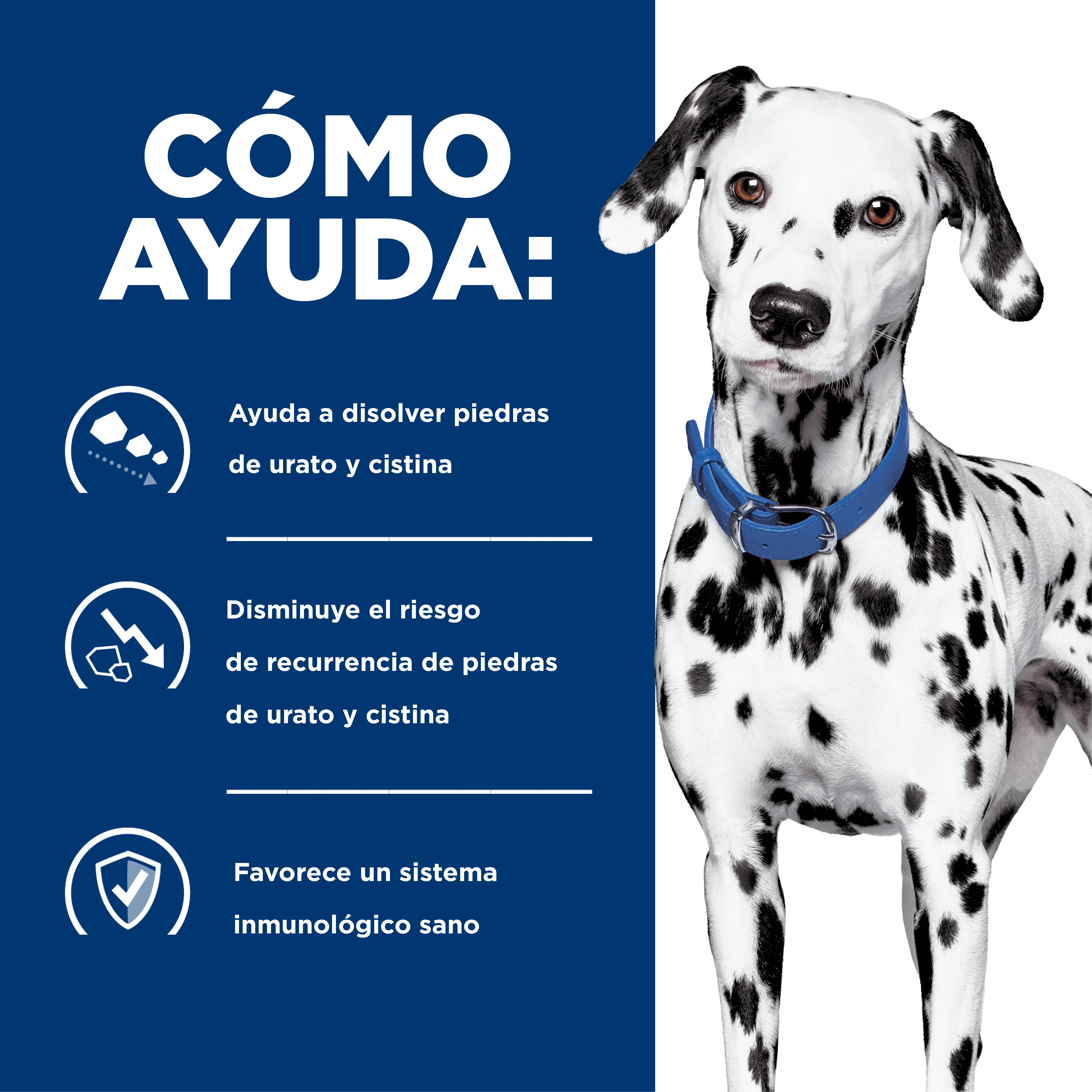 Comida Húmeda Perros Hills u/d Urinary Care 13 onz - Image 8