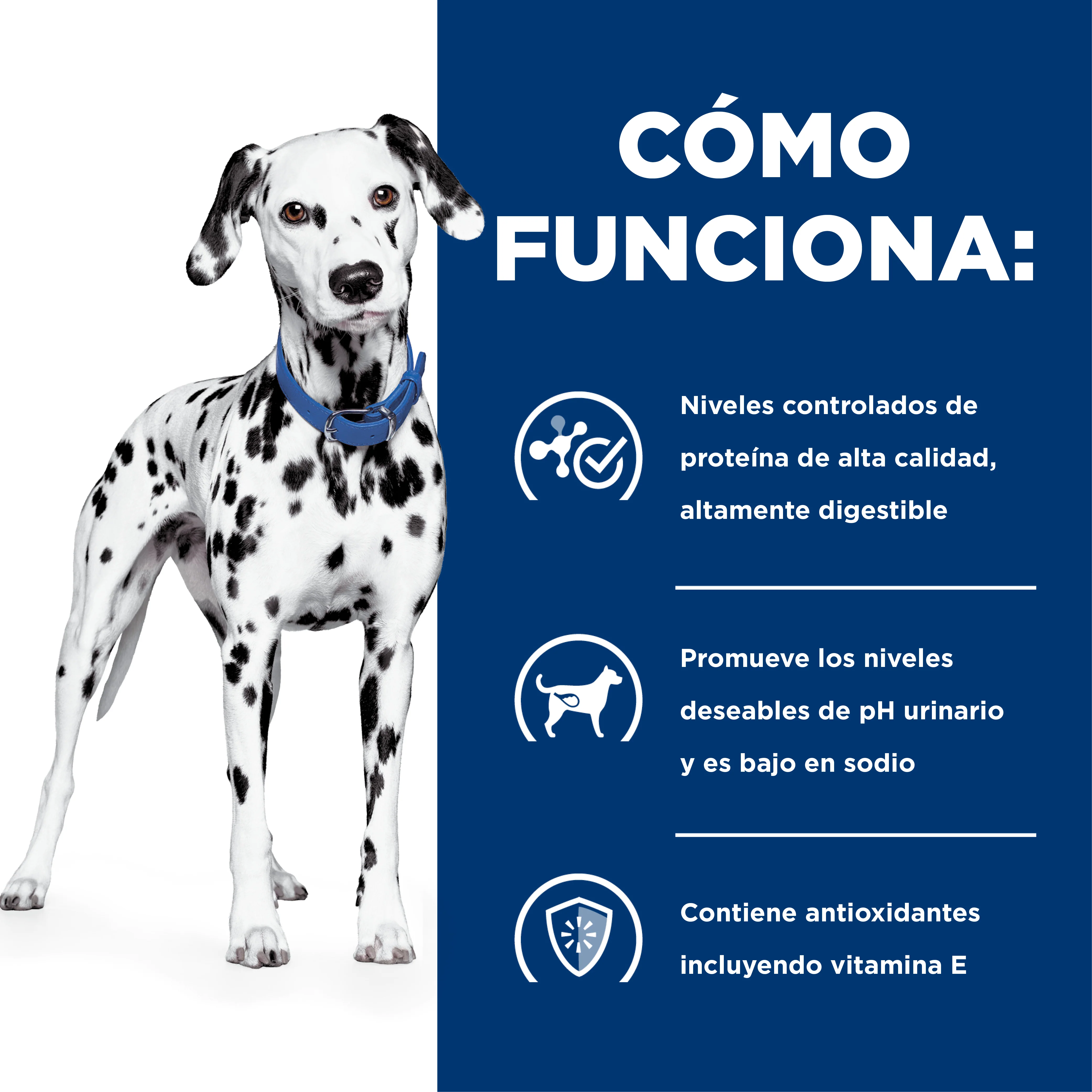 Comida Húmeda Perros Hills u/d Urinary Care 13 onz - Image 9