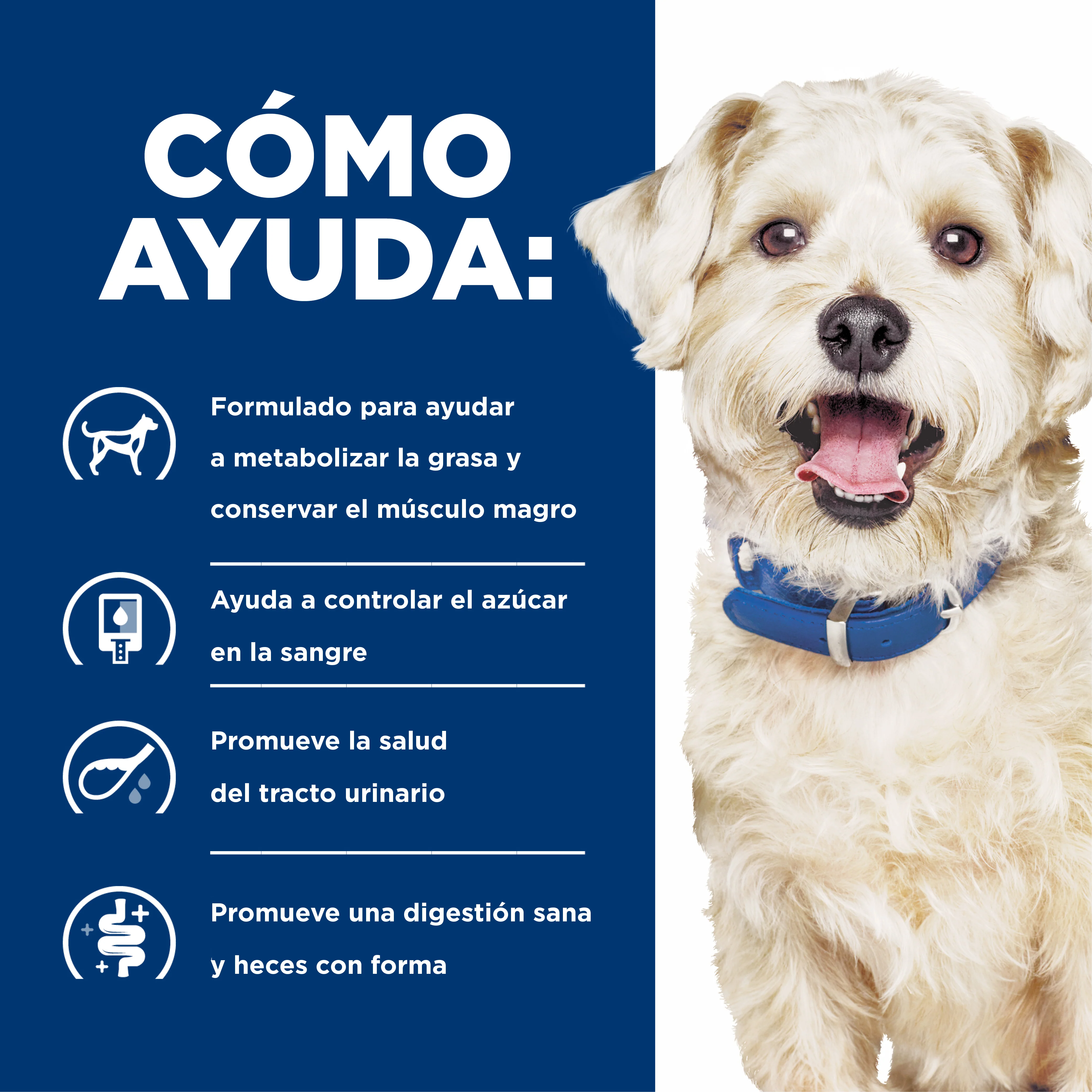 Comida Húmeda para perro Hills Prescription Diet - Image 5