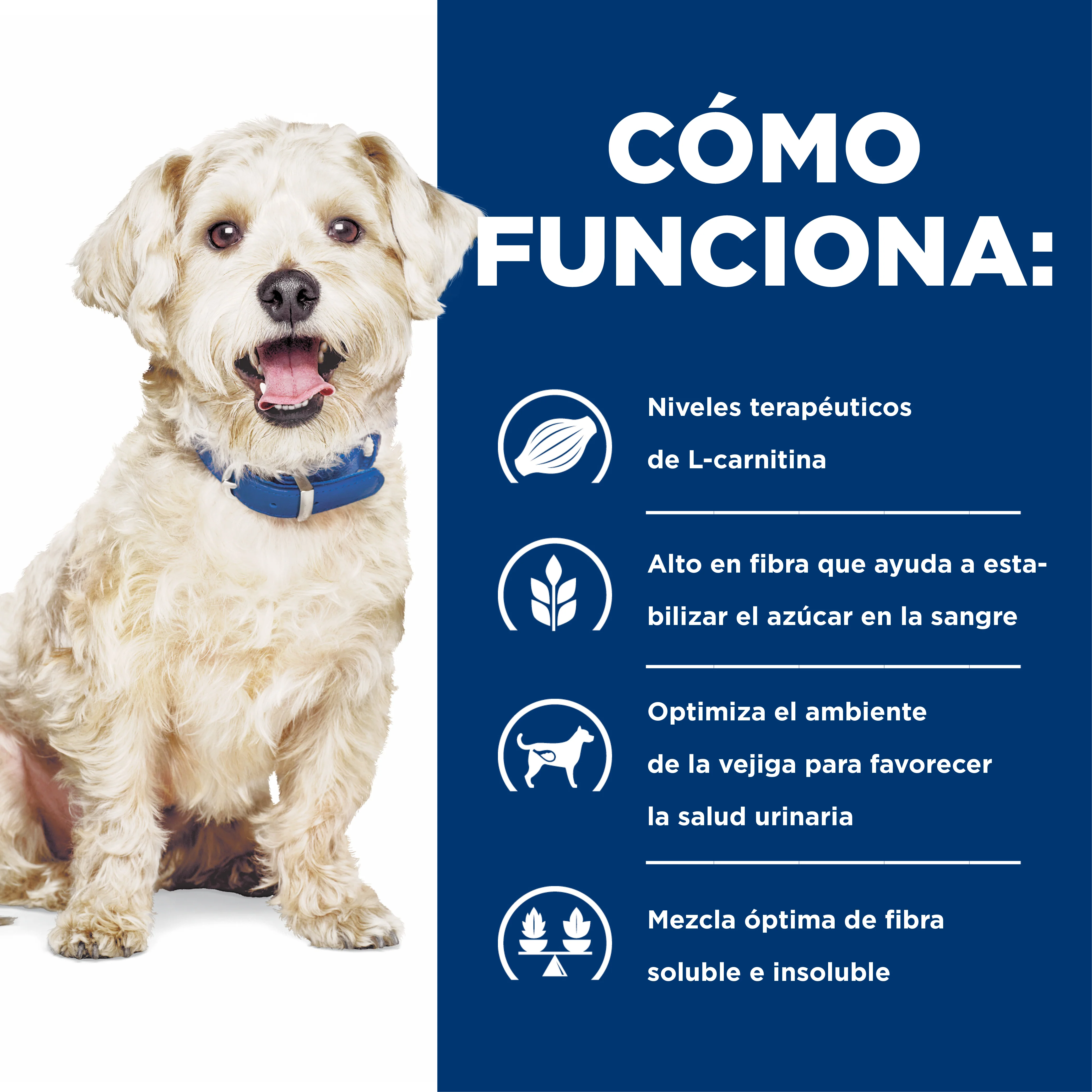 Comida Húmeda para perro Hills Prescription Diet - Image 6