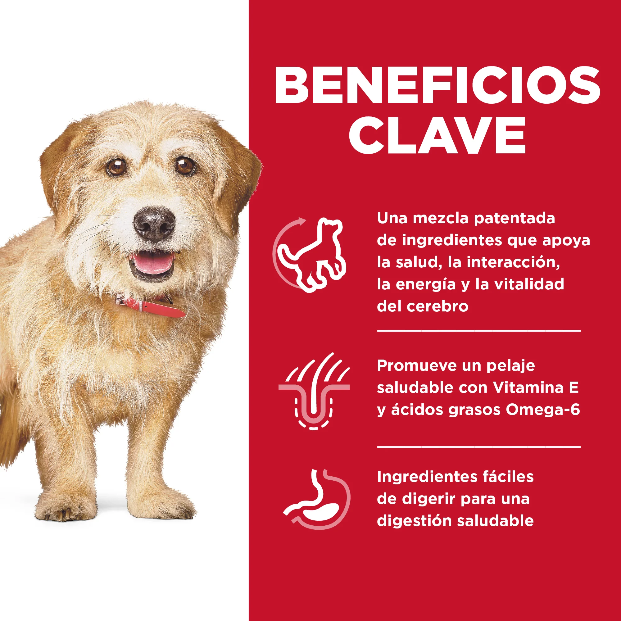 Comida perro Hills Senior Vitality Adulto 7+ Razas - Image 3