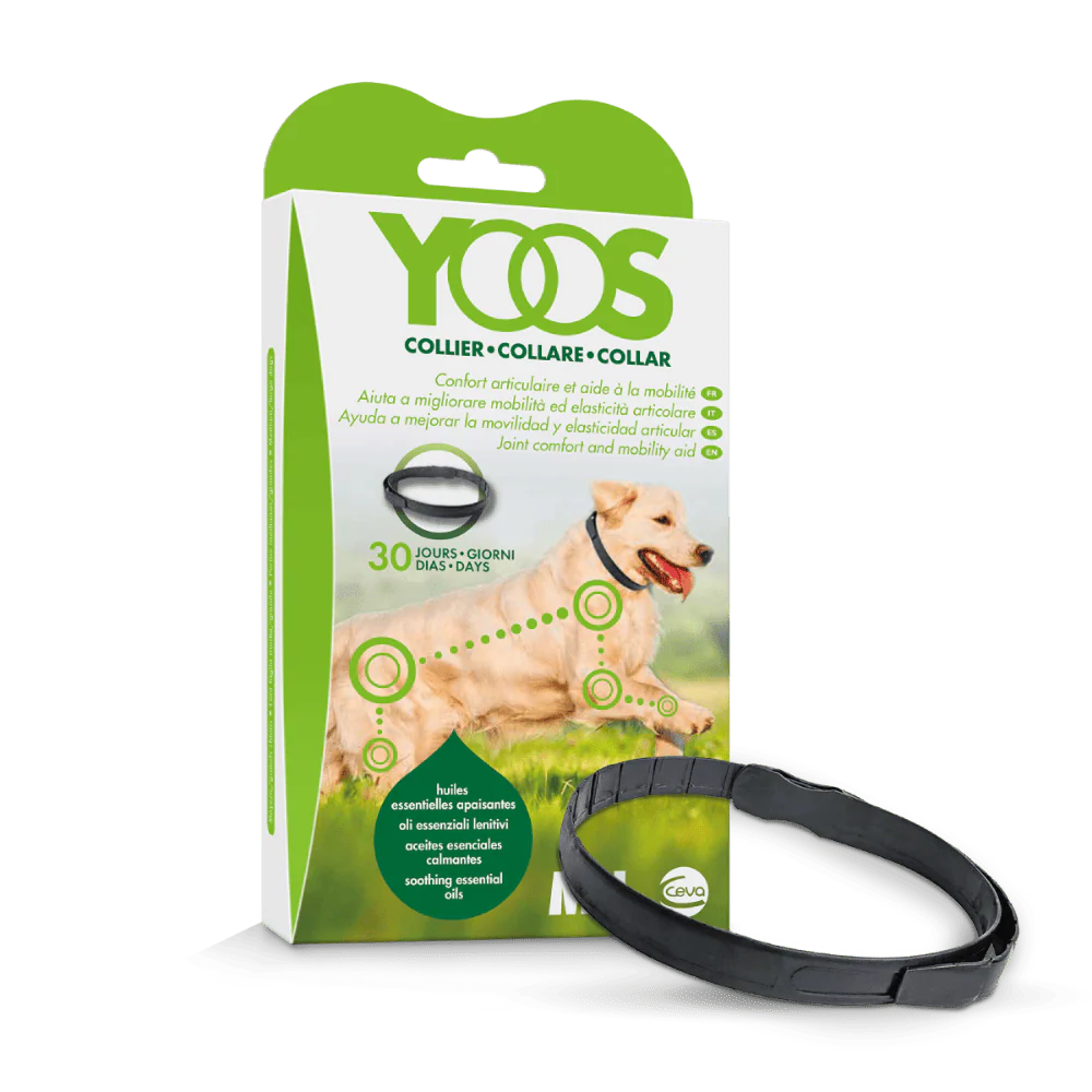 Collar Yoos Perros Talla M / L