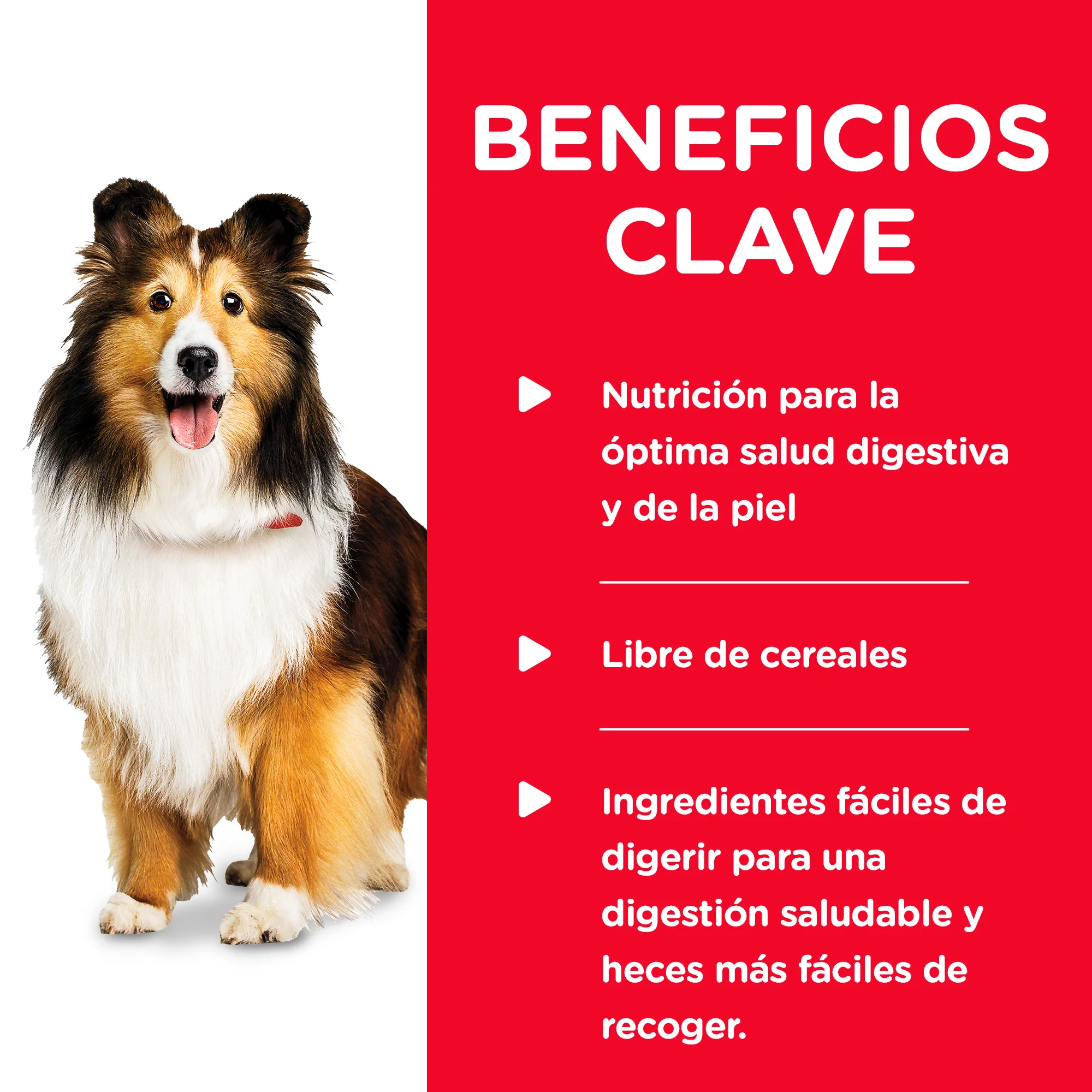 Comida Húmeda para perro Hills Adulto Estomago y piel - Image 8