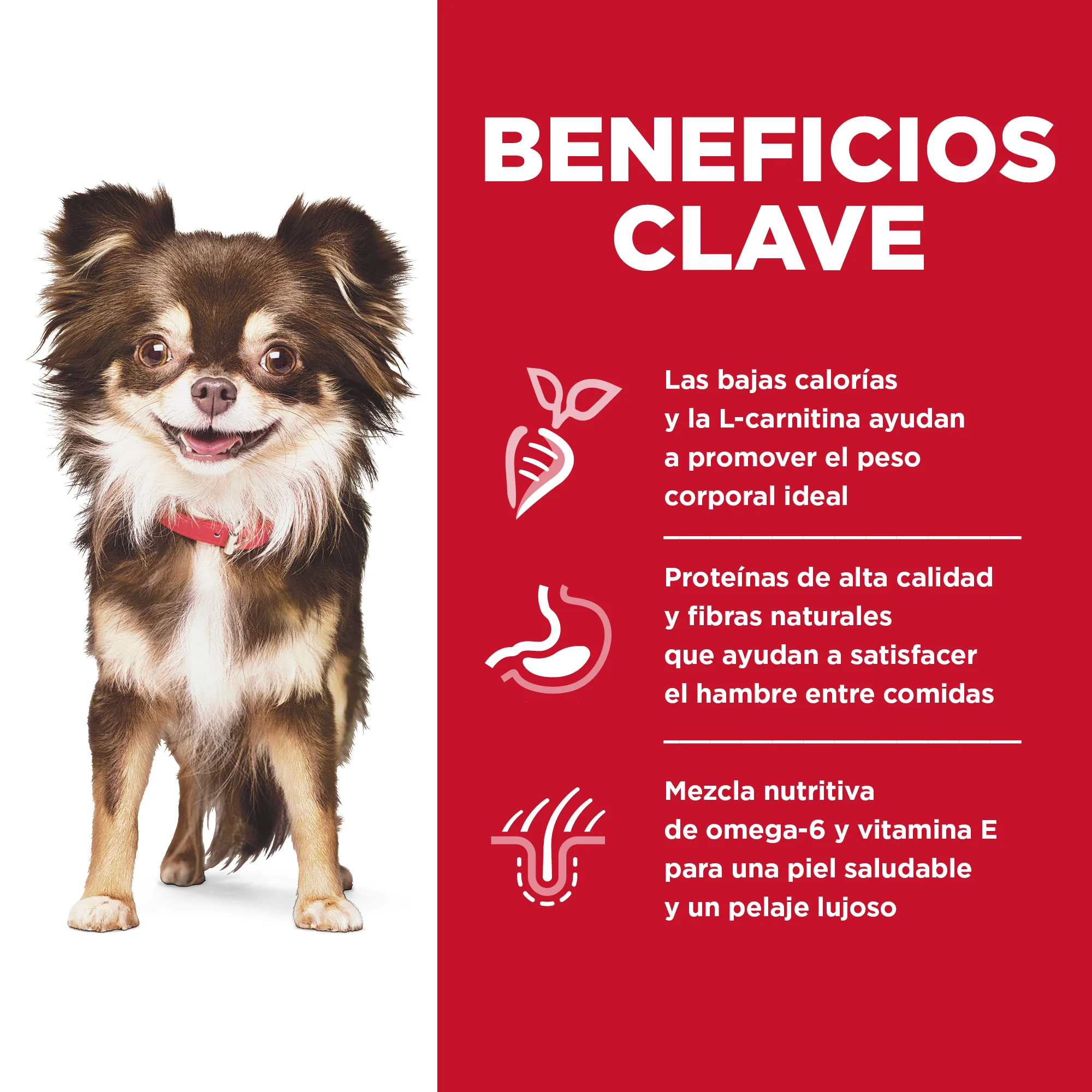 Comida para perro Hills Adulto Estomago y Piel Sensible - Image 6