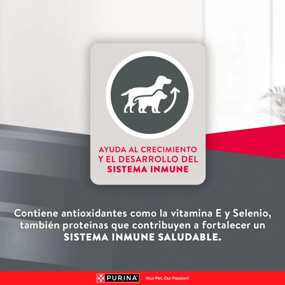 Comida Para Perro Excellent Puppy Small Breed - Image 6