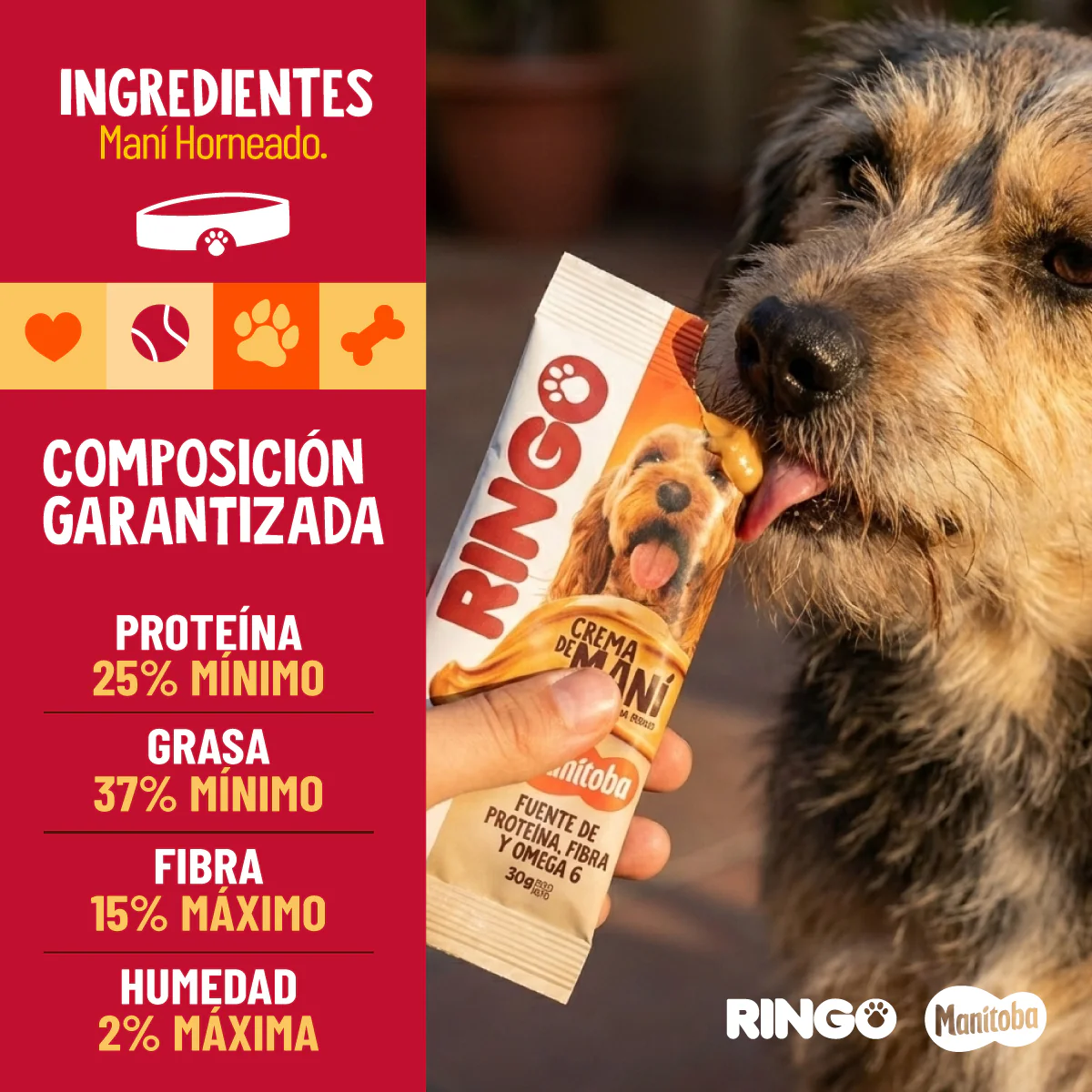 CREMA DE MANI RINGO PARA PERROS X 30GR - Image 5