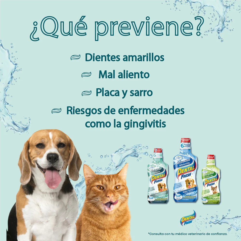 Enjuague Bucal perro Dental Fresh Original Dogh 8 oz - Image 3