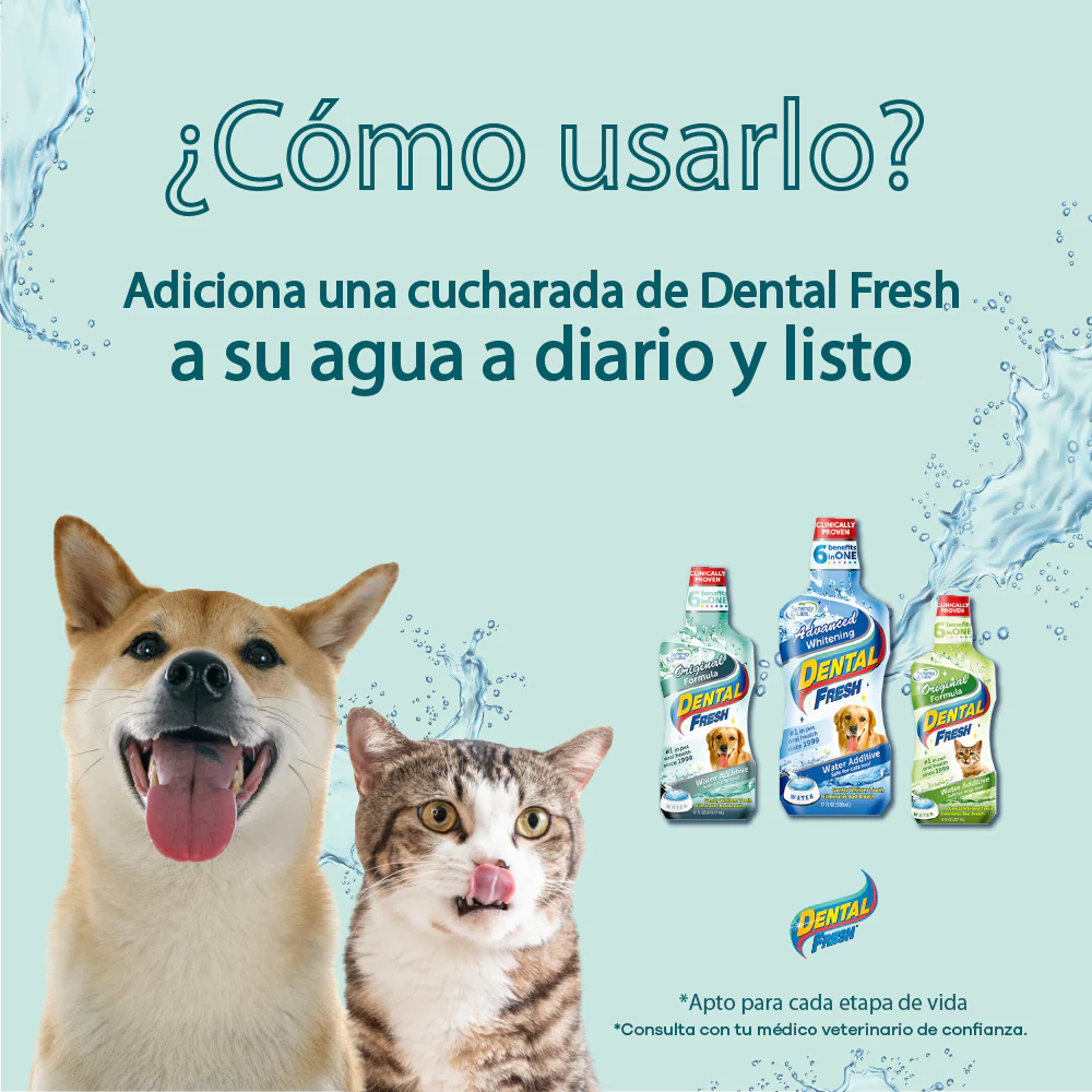 Enjuague Bucal para perro Dental Fresh Whitening 17 oz - Image 4