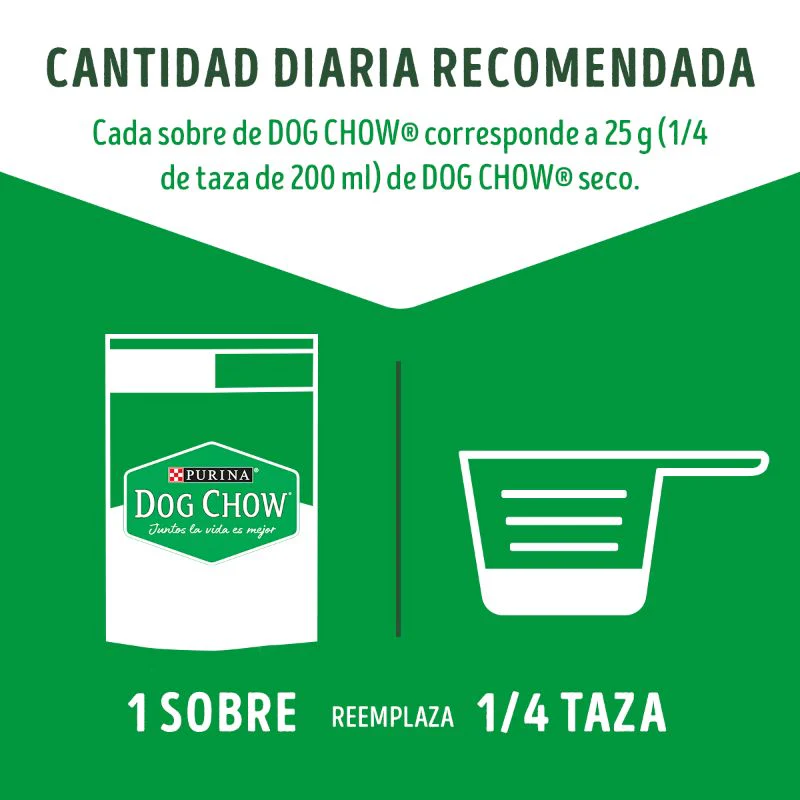 Comida Húmeda Para Perro Dog Chow Pouch Carne X 100 Gr - Image 3
