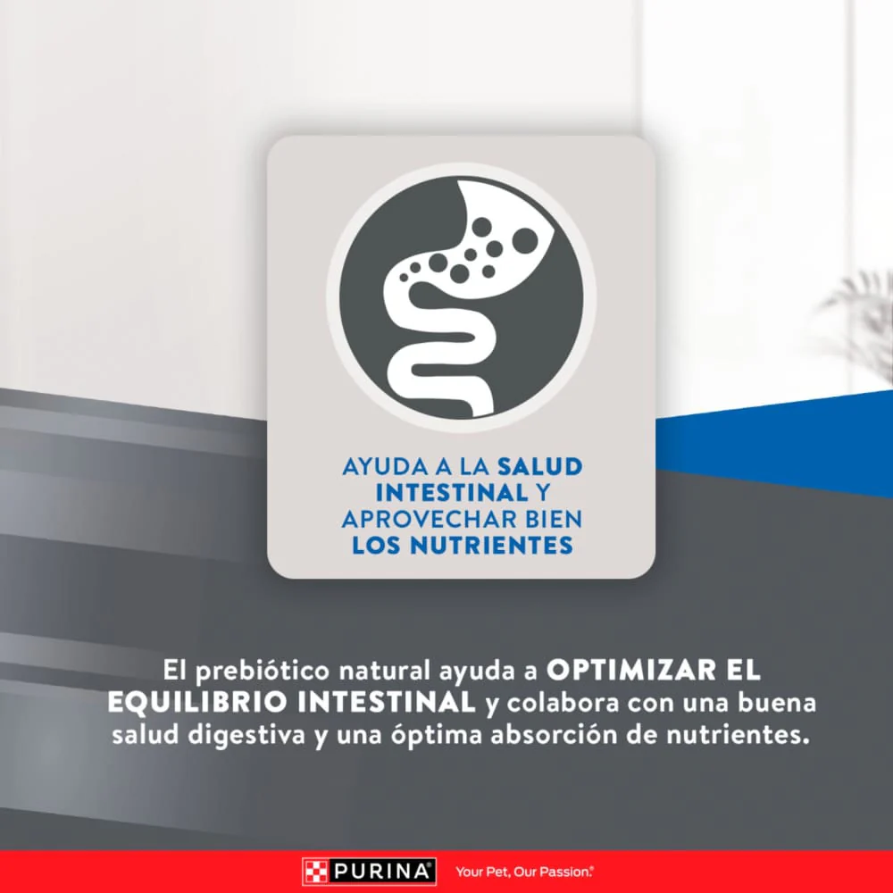 Comida Para Gato Adulto Excellent Cat Urinary - Image 10