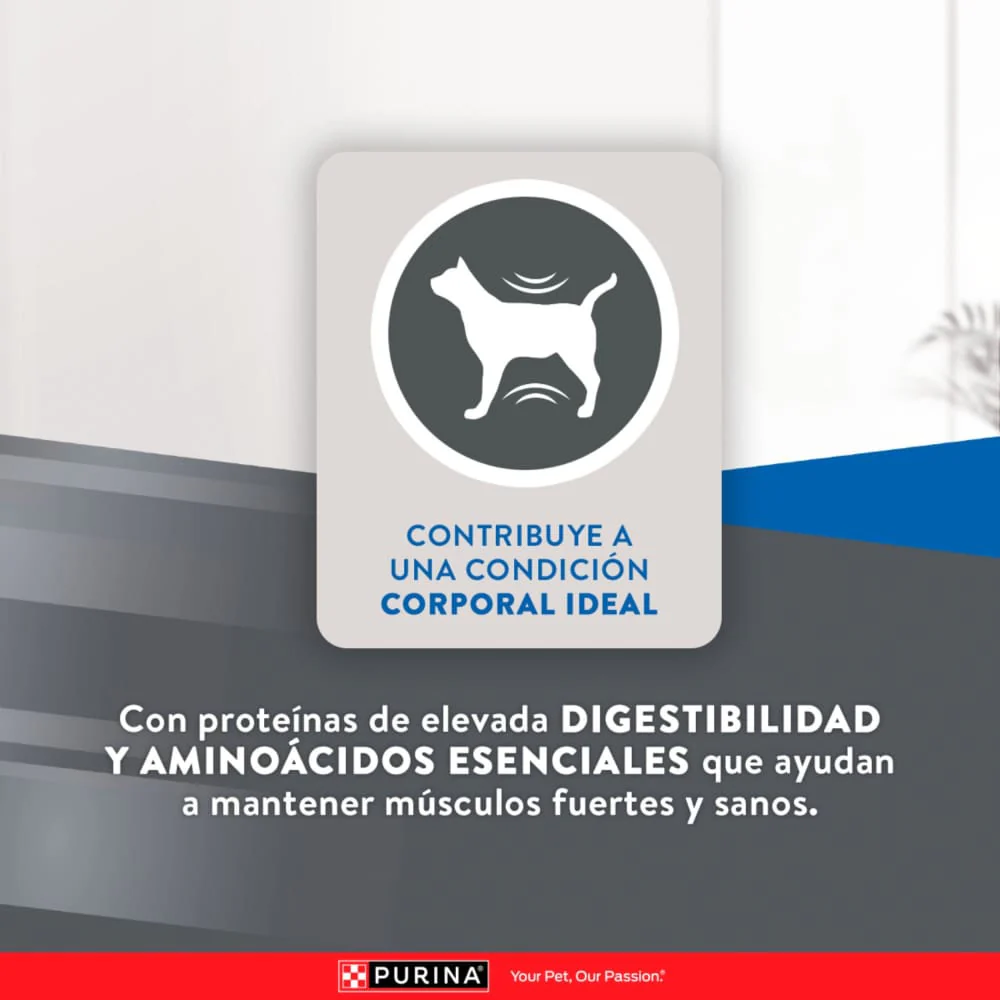 Comida Para Gato Adulto Excellent Cat Urinary - Image 9