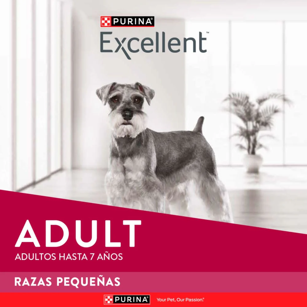 Comida Para Perro Excellent Adulto Small Breed - Image 2