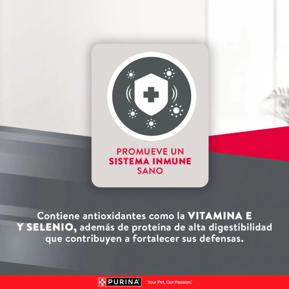 Comida Para Perro Excellent Adulto Small Breed - Image 6