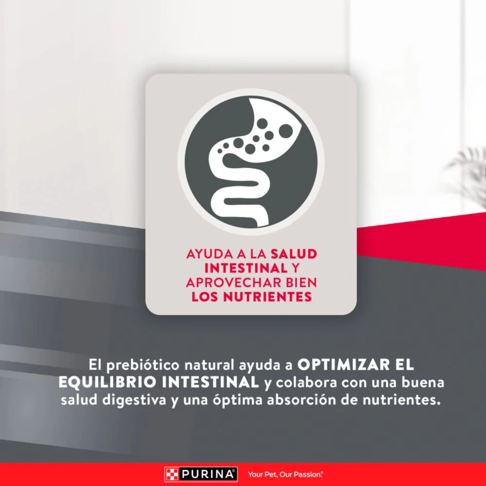 Comida Para Perro Excellent Adulto Small Breed - Image 7