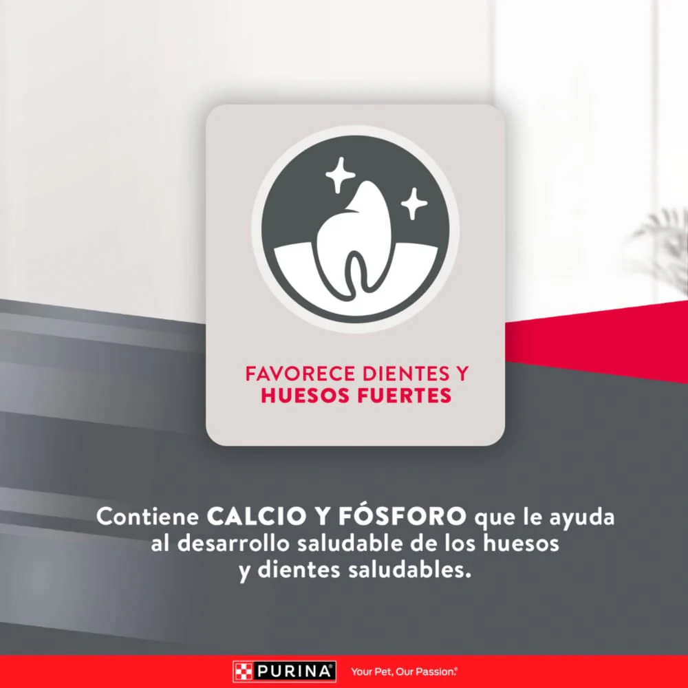Comida Para Perro Excellent Puppy Razas Medianas - Image 11