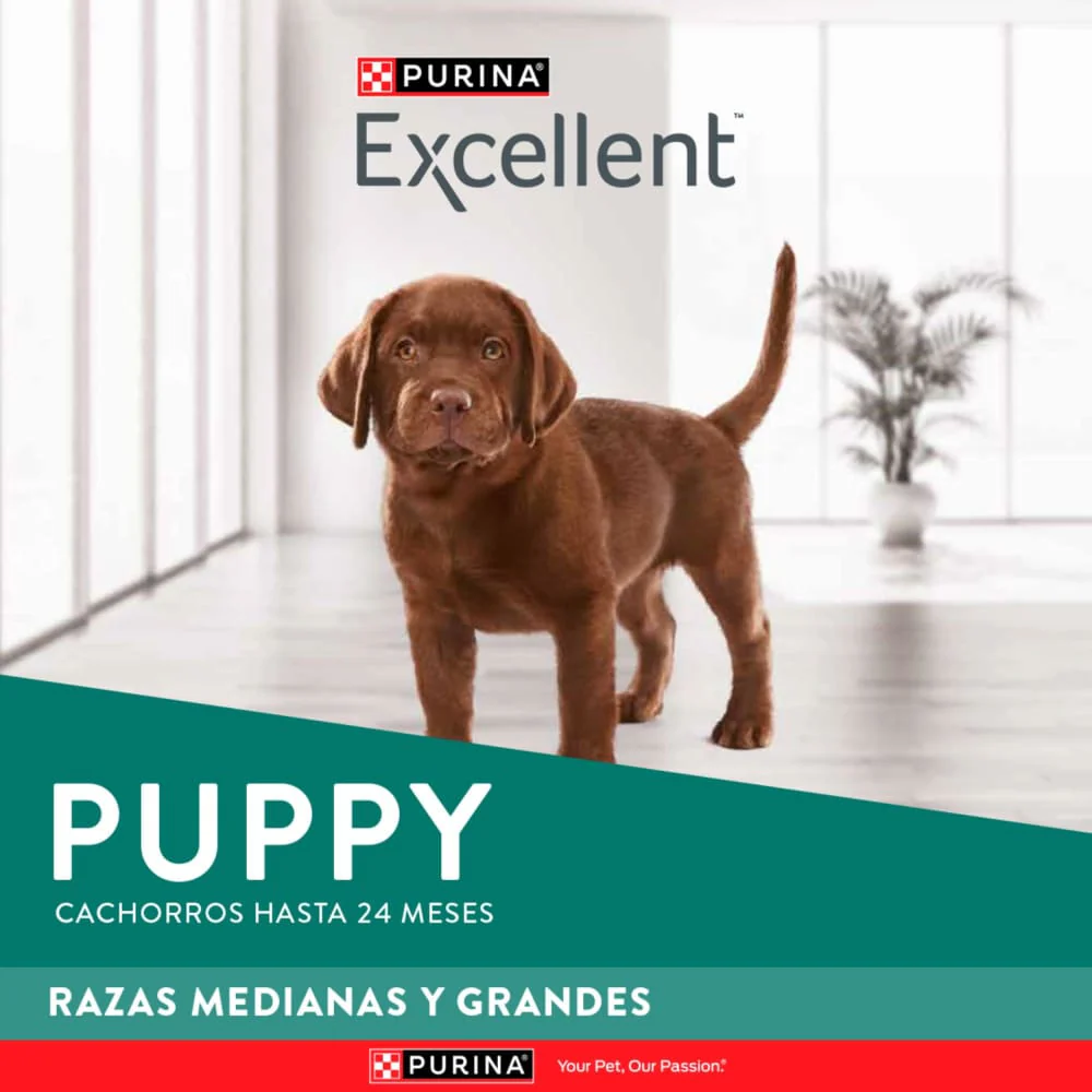 Comida Para Perro Excellent Puppy Razas Medianas - Image 5